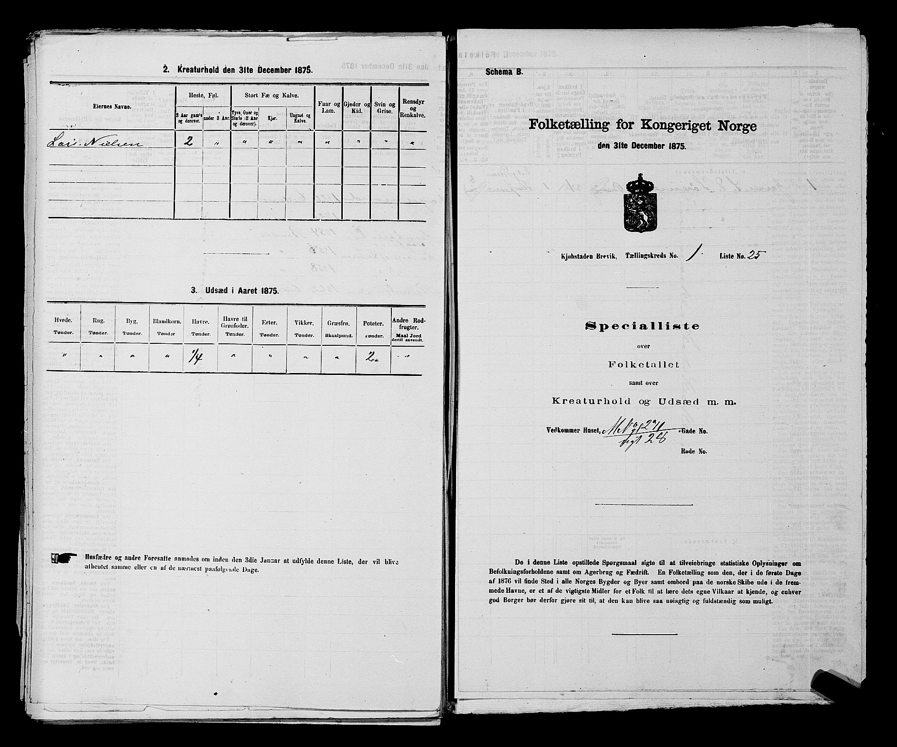 SAKO, 1875 census for 0804P Brevik, 1875, p. 72