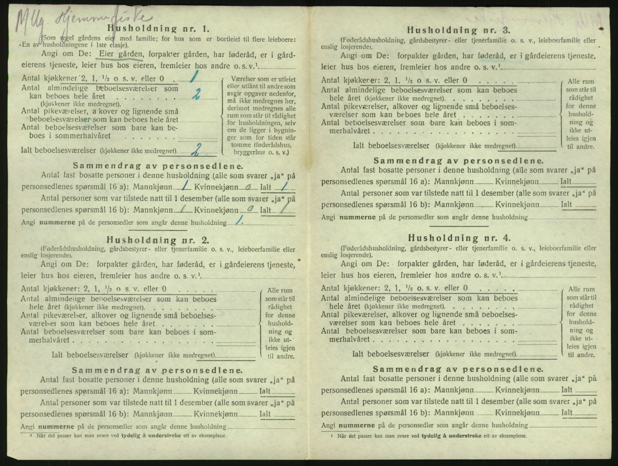 SAKO, 1920 census for Brunlanes, 1920, p. 1722
