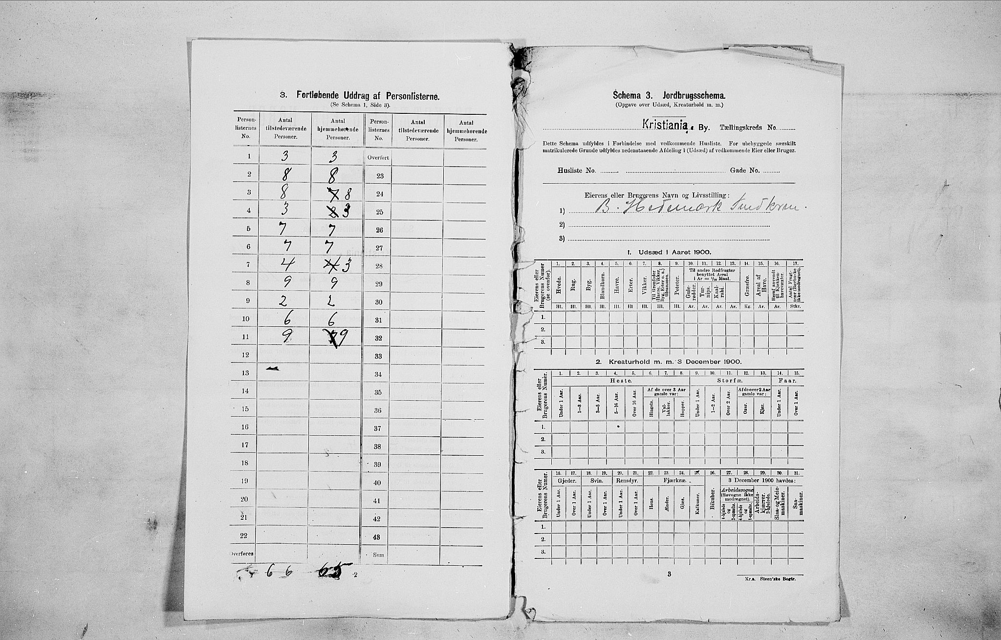 SAO, 1900 census for Kristiania, 1900, p. 54994
