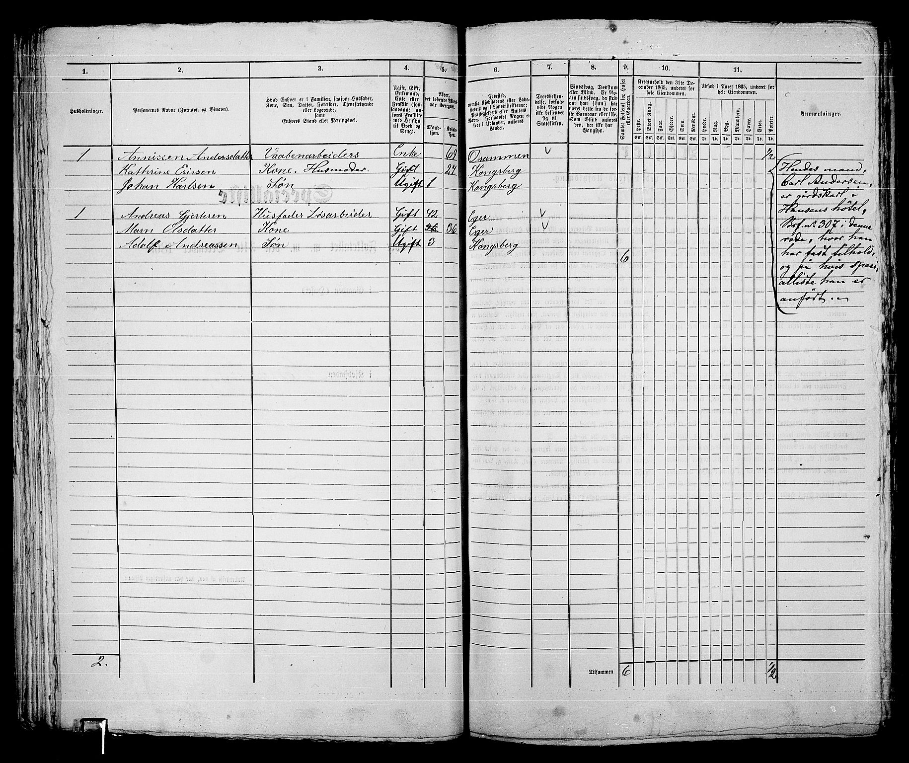 RA, 1865 census for Kongsberg/Kongsberg, 1865, p. 638