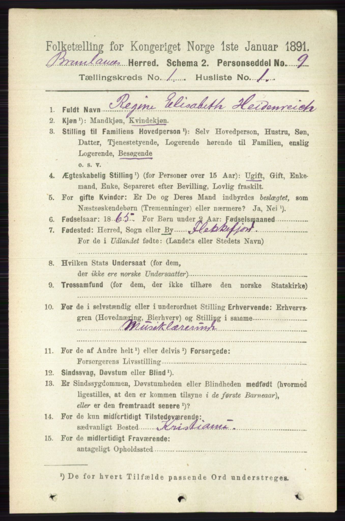 RA, 1891 census for 0726 Brunlanes, 1891, p. 133