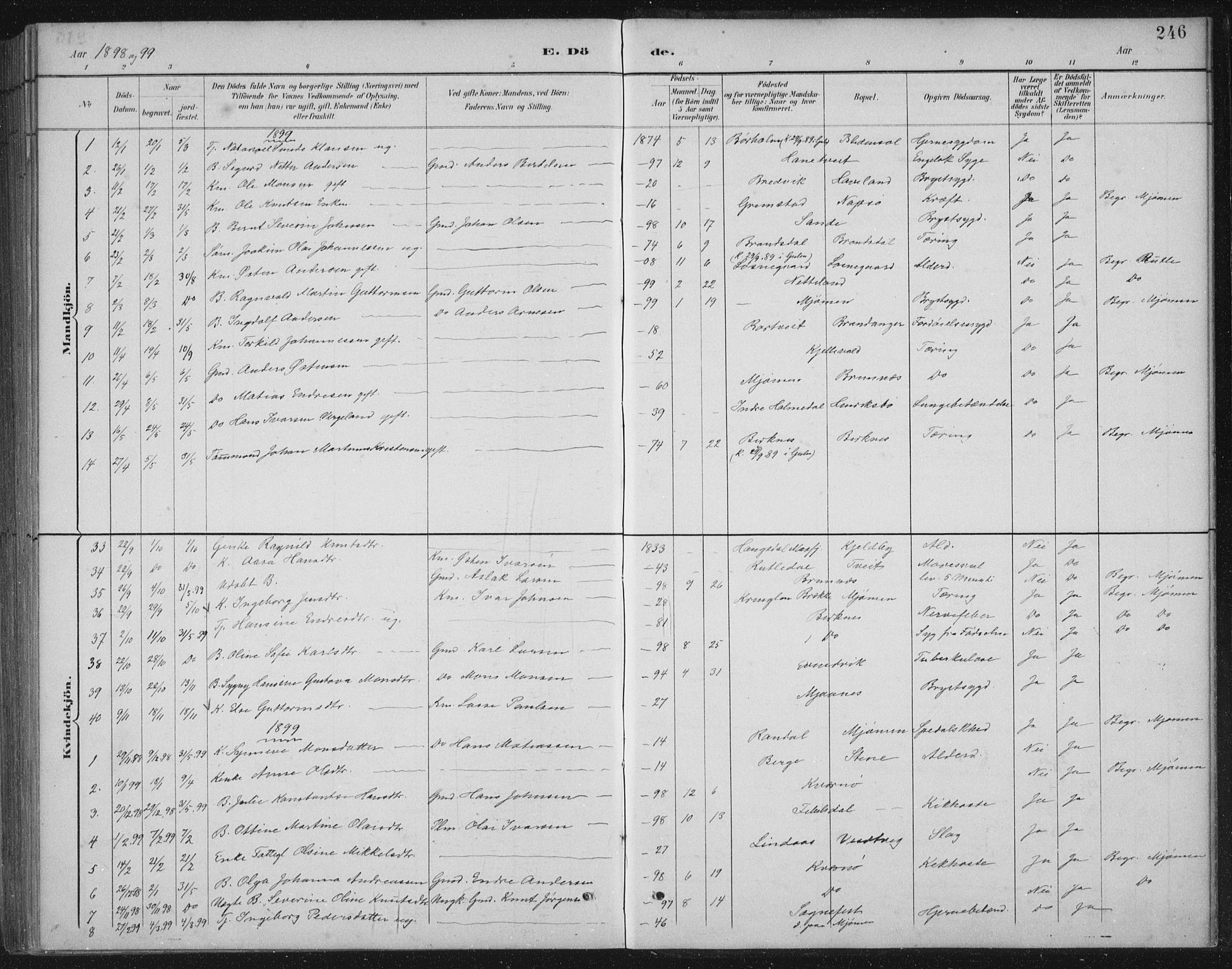 Gulen sokneprestembete, AV/SAB-A-80201/H/Hab/Habb/L0003: Parish register (copy) no. B 3, 1884-1907, p. 246