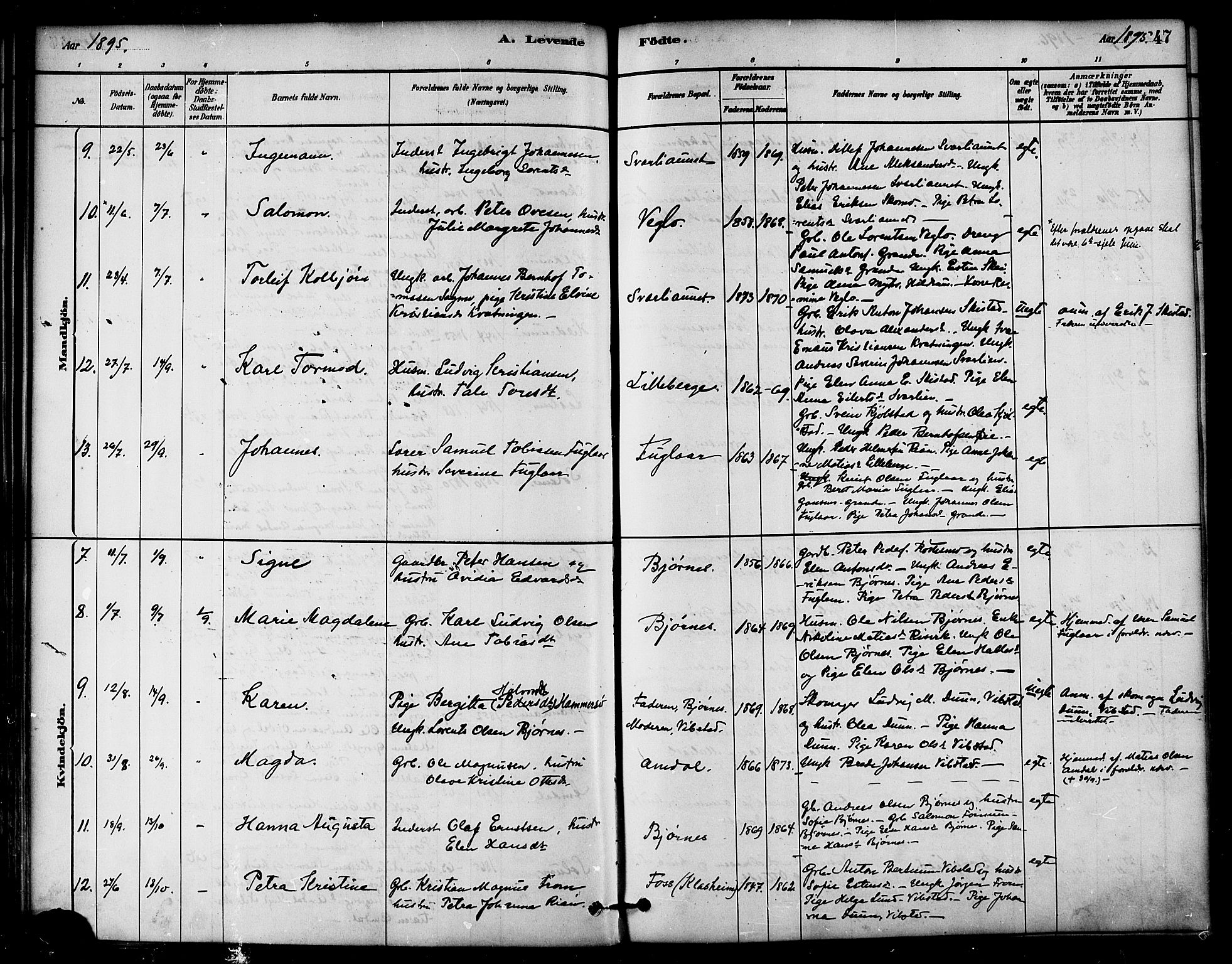 Ministerialprotokoller, klokkerbøker og fødselsregistre - Nord-Trøndelag, AV/SAT-A-1458/764/L0555: Parish register (official) no. 764A10, 1881-1896, p. 47