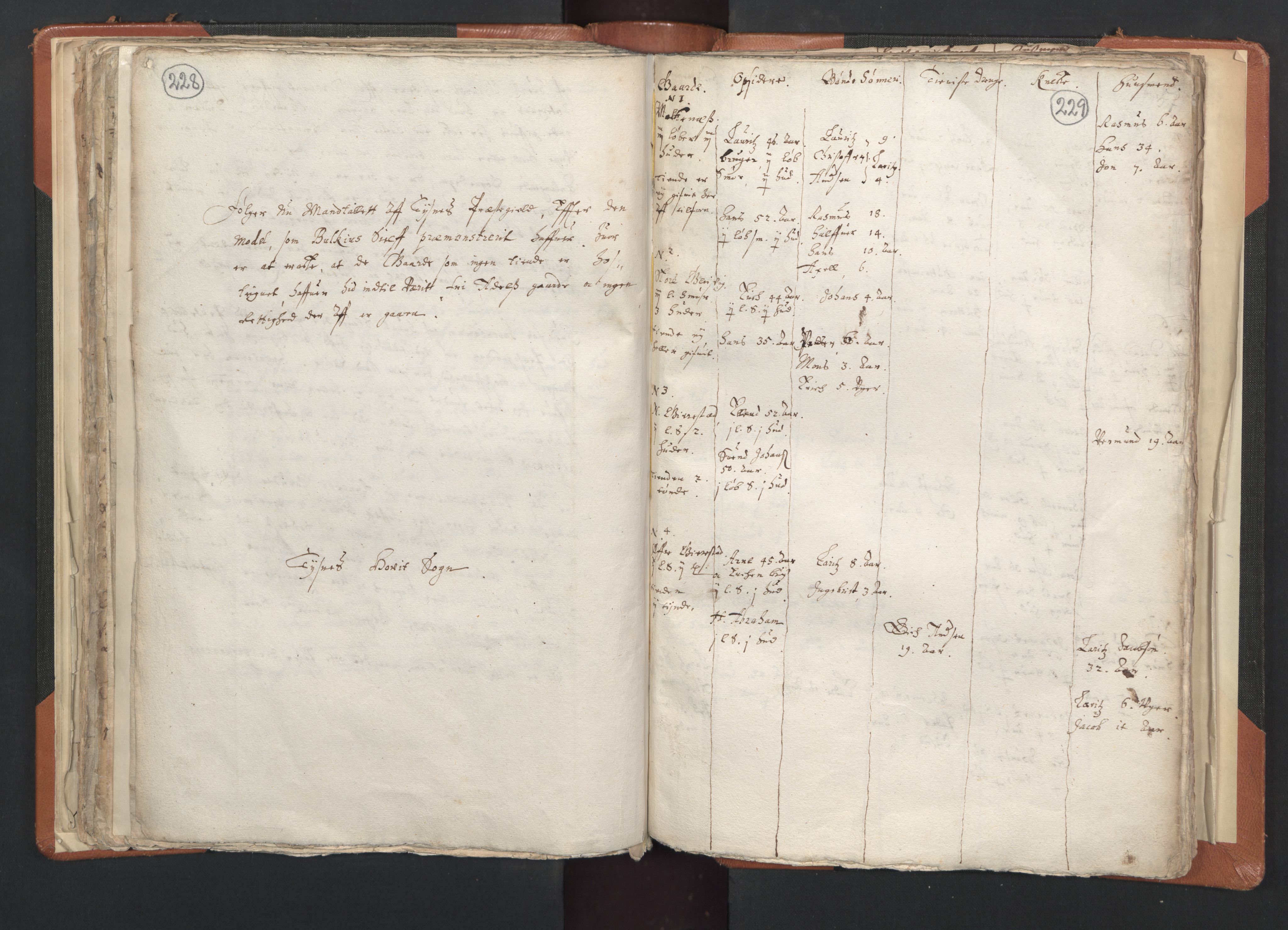 RA, Vicar's Census 1664-1666, no. 20: Sunnhordland deanery, 1664-1666, p. 228-229