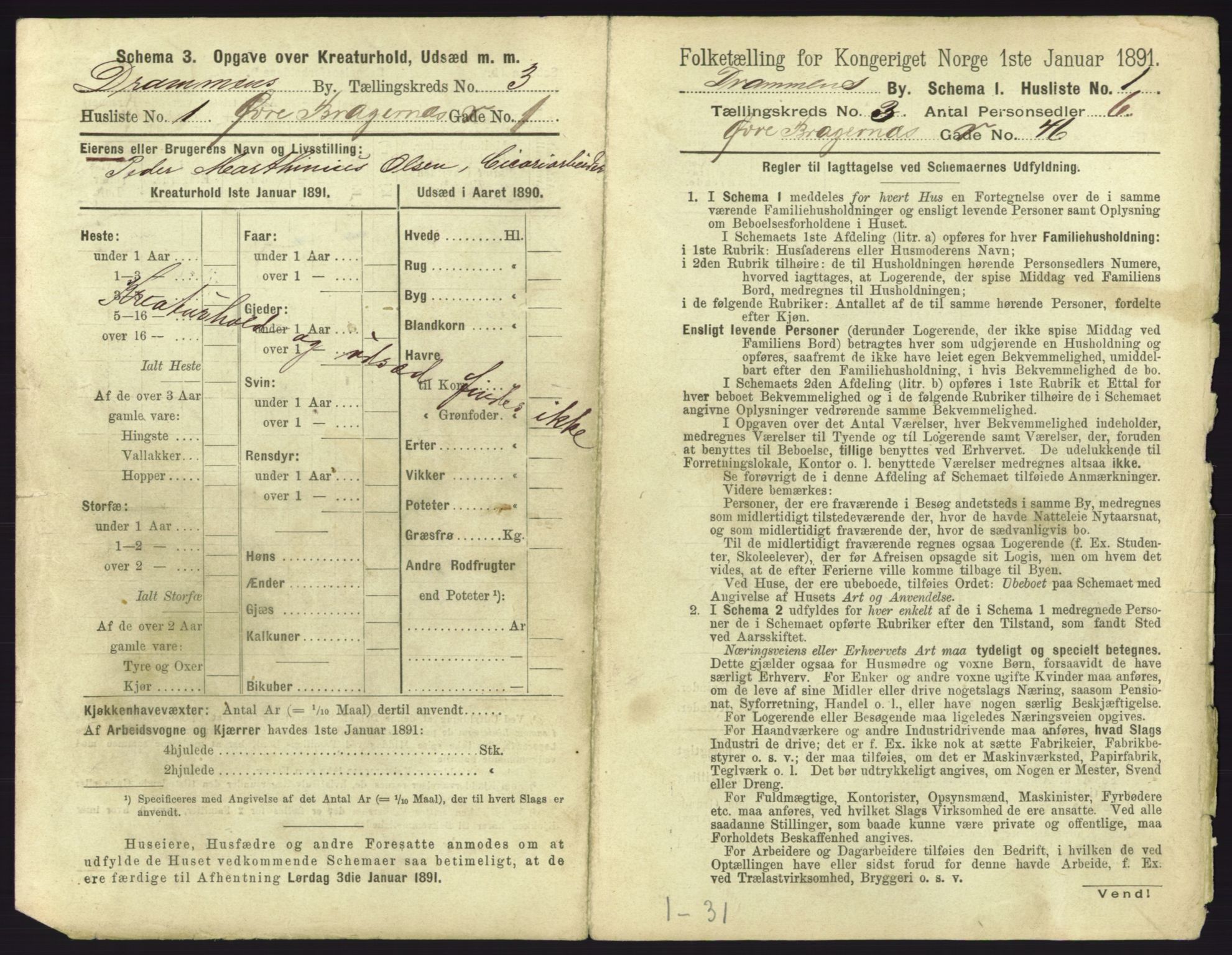 RA, 1891 census for 0602 Drammen, 1891, p. 305