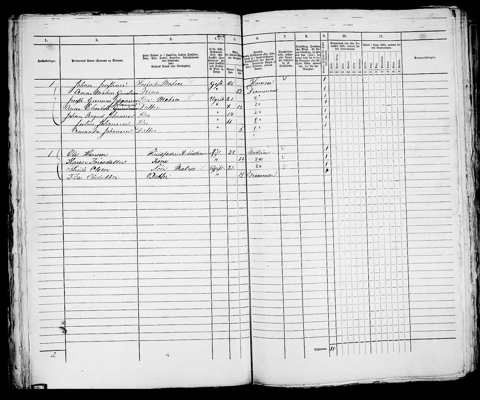 RA, 1865 census for Strømsø in Drammen, 1865, p. 710