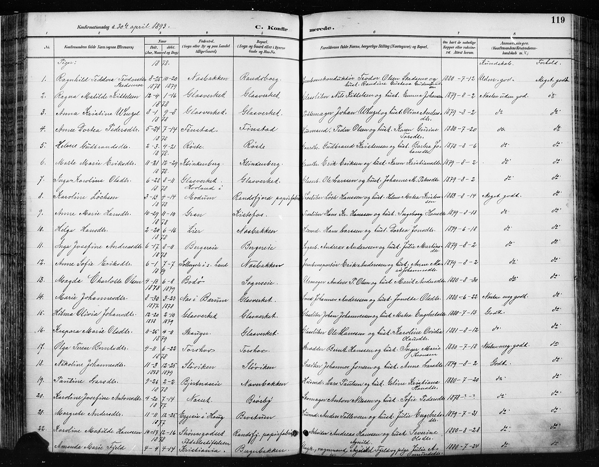 Jevnaker prestekontor, SAH/PREST-116/H/Ha/Haa/L0009: Parish register (official) no. 9, 1891-1901, p. 119