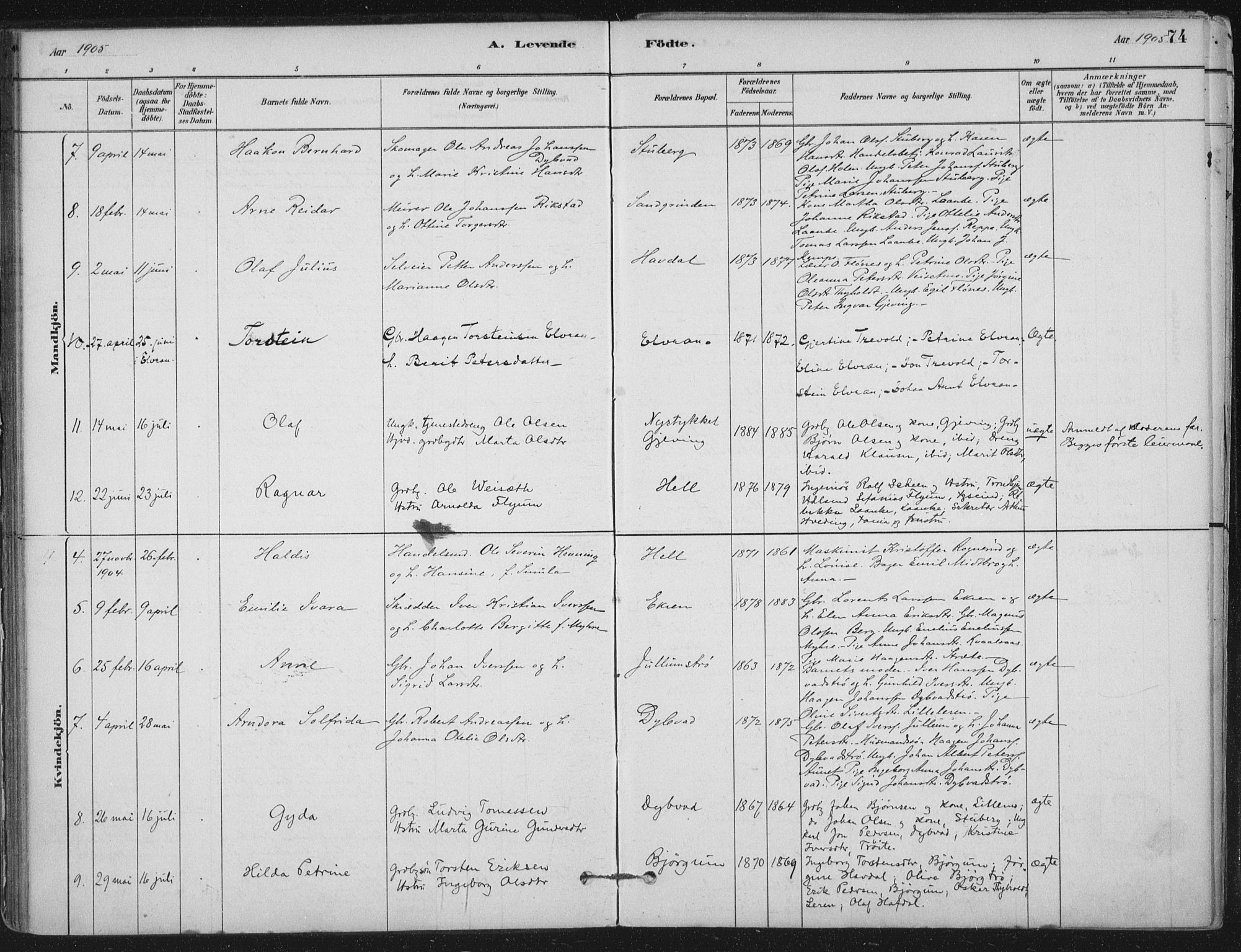 Ministerialprotokoller, klokkerbøker og fødselsregistre - Nord-Trøndelag, SAT/A-1458/710/L0095: Parish register (official) no. 710A01, 1880-1914, p. 74