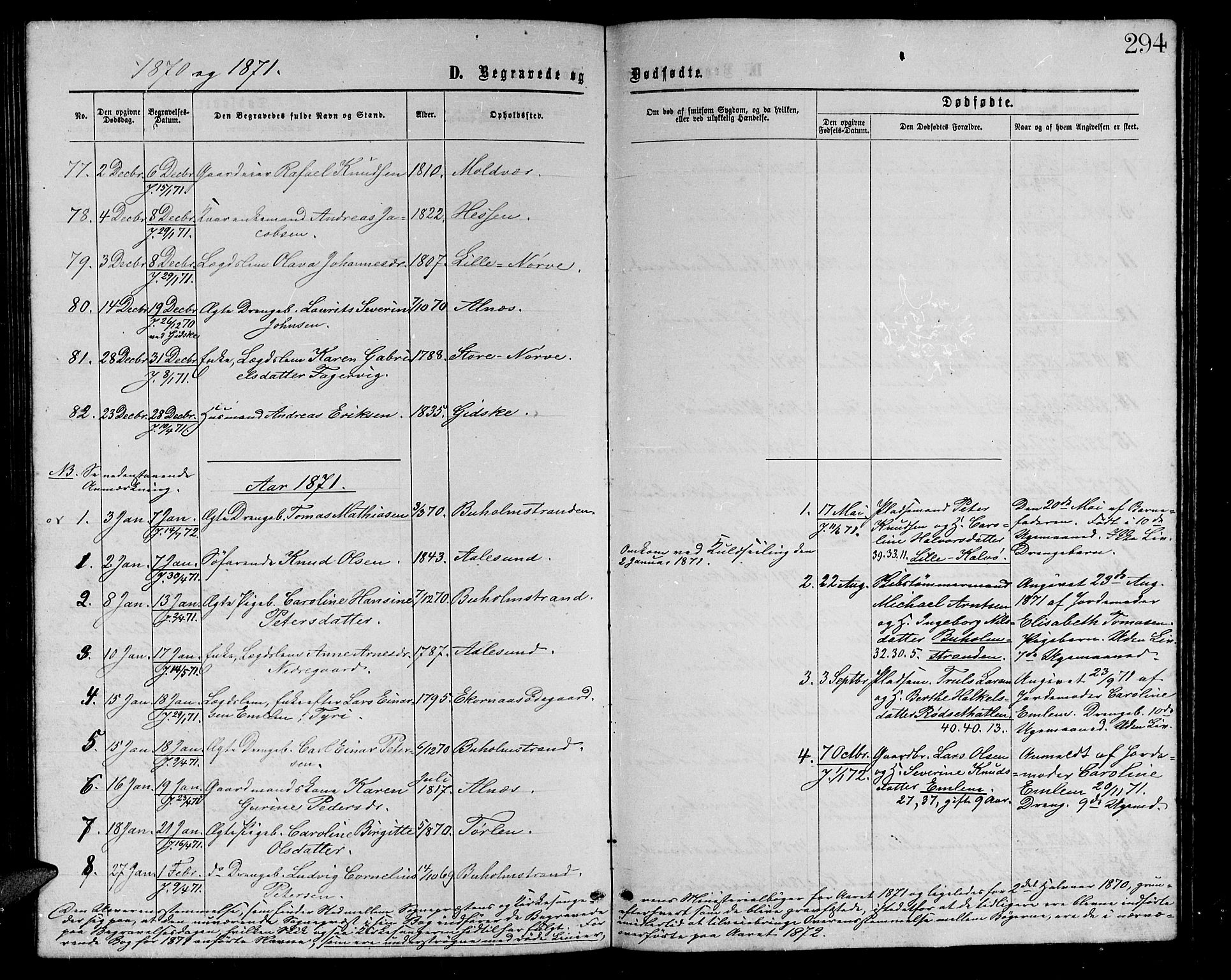 Ministerialprotokoller, klokkerbøker og fødselsregistre - Møre og Romsdal, AV/SAT-A-1454/528/L0428: Parish register (copy) no. 528C09, 1864-1880, p. 294