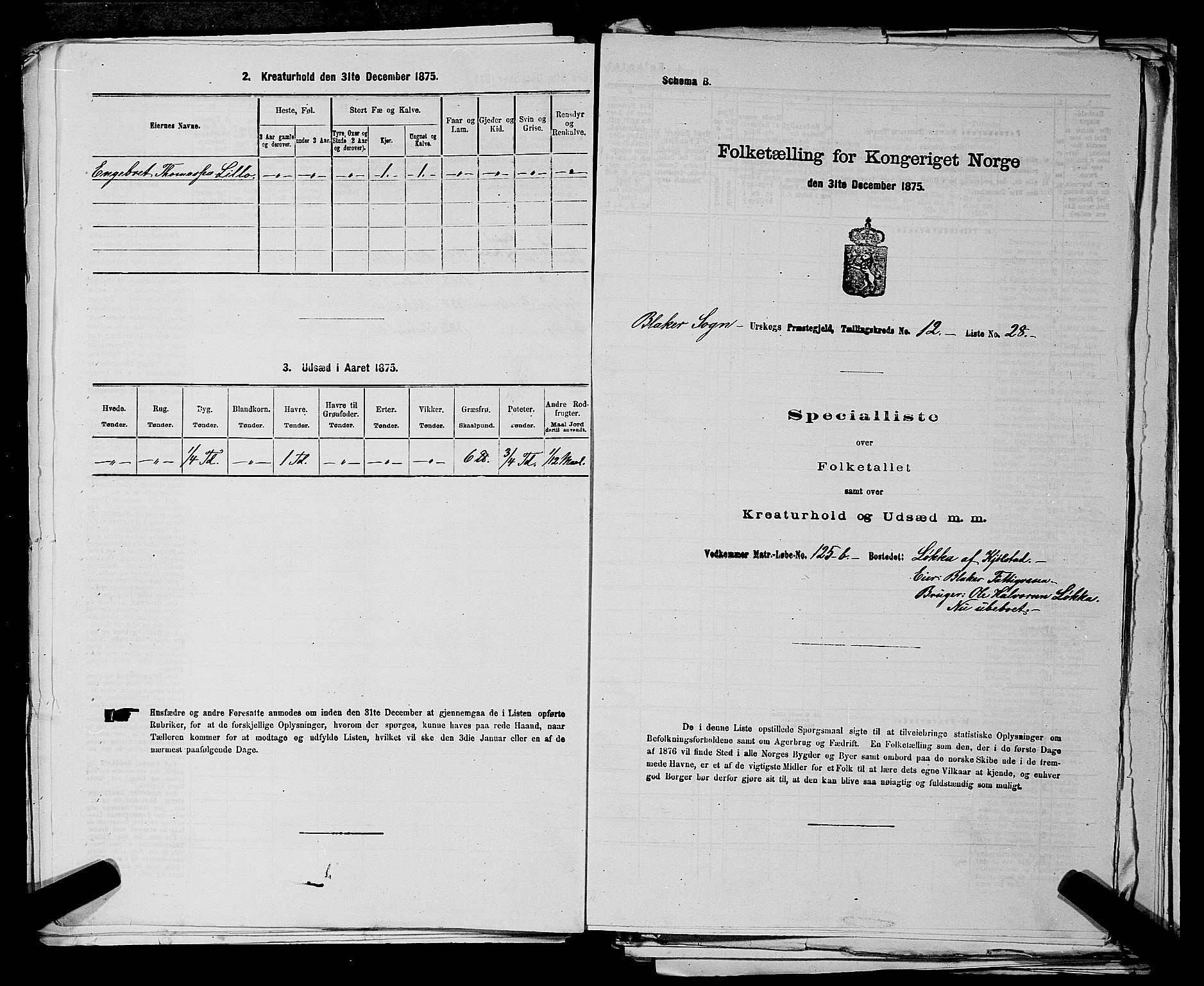 RA, 1875 census for 0224P Aurskog, 1875, p. 1221