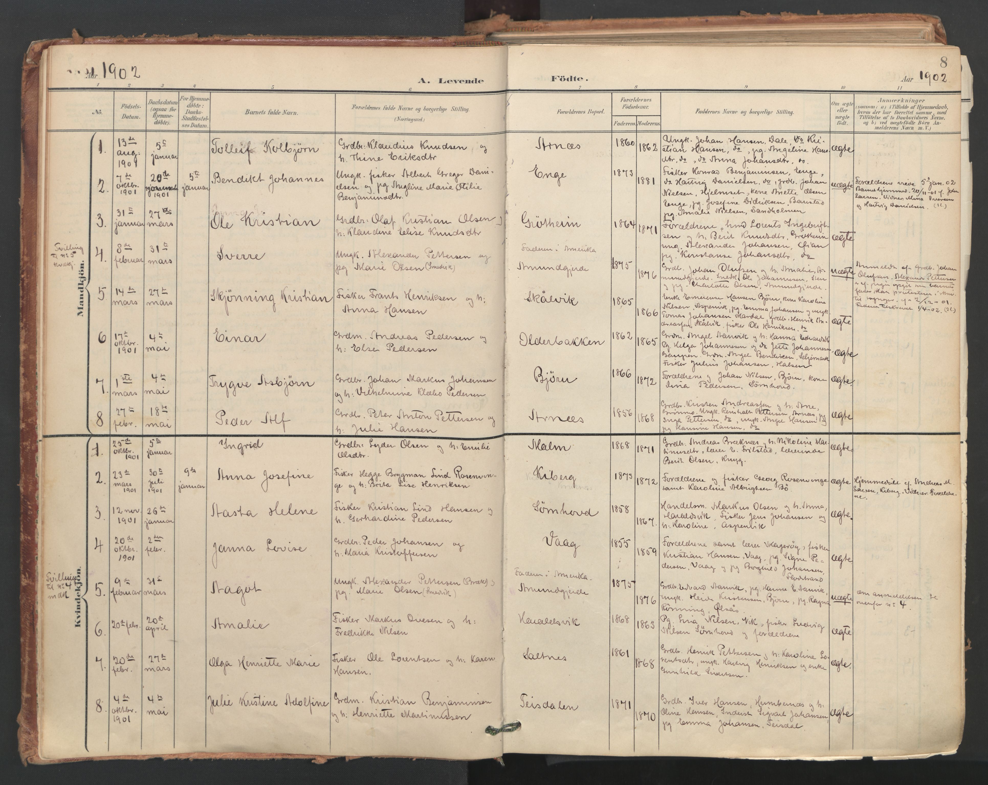 Ministerialprotokoller, klokkerbøker og fødselsregistre - Nordland, SAT/A-1459/812/L0180: Parish register (official) no. 812A09, 1901-1915, p. 8