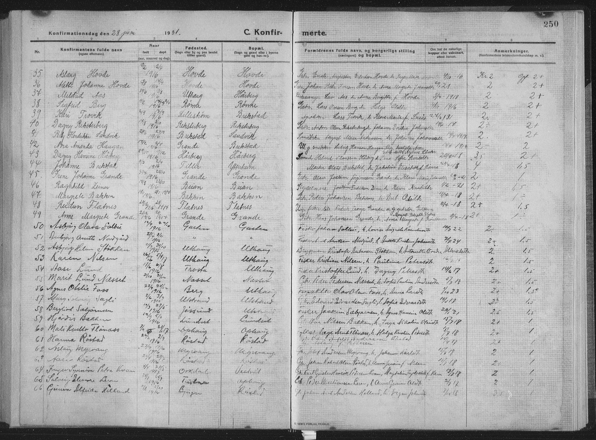 Ministerialprotokoller, klokkerbøker og fødselsregistre - Sør-Trøndelag, SAT/A-1456/659/L0747: Parish register (copy) no. 659C04, 1913-1938, p. 250