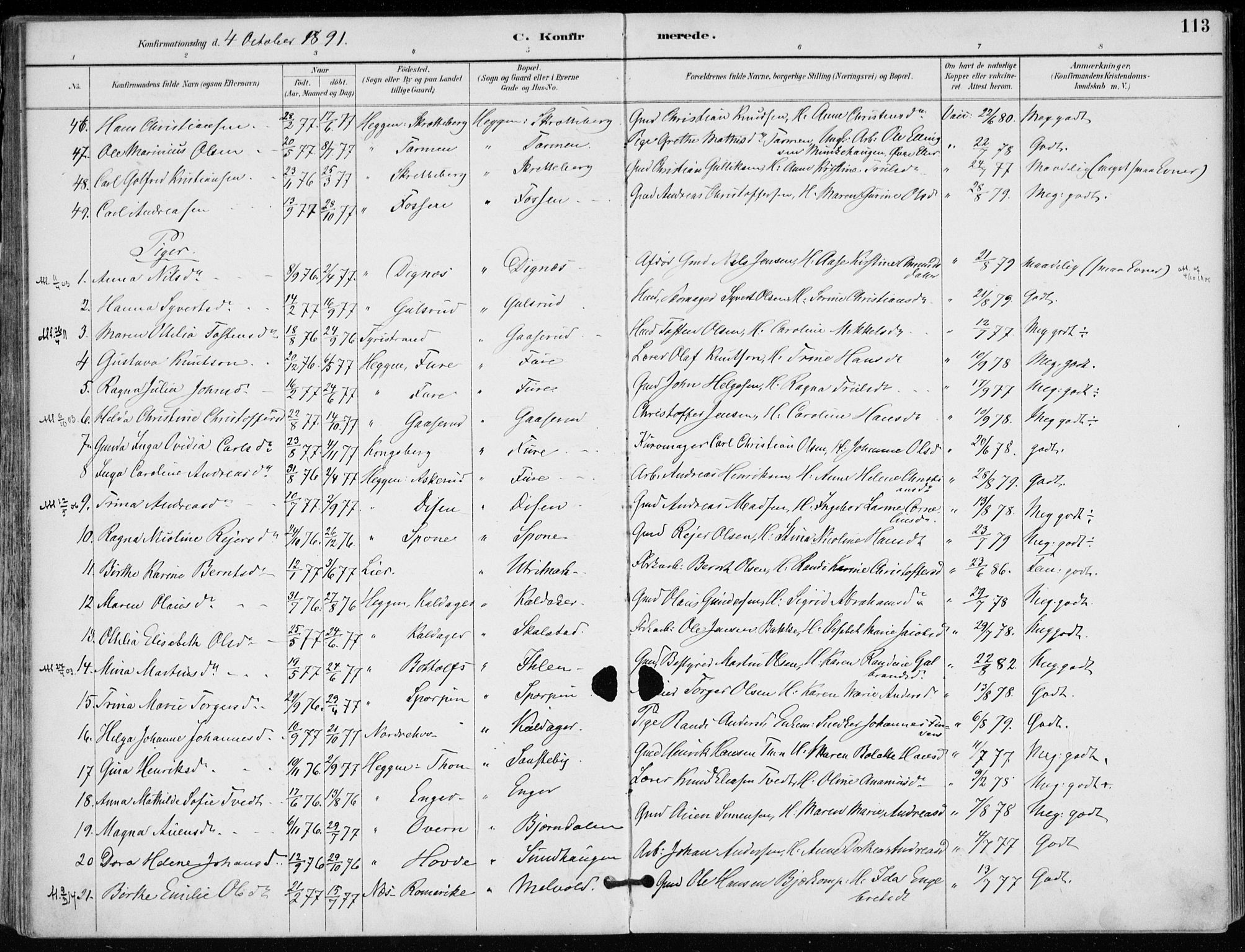 Modum kirkebøker, AV/SAKO-A-234/F/Fa/L0012: Parish register (official) no. 12, 1890-1898, p. 113