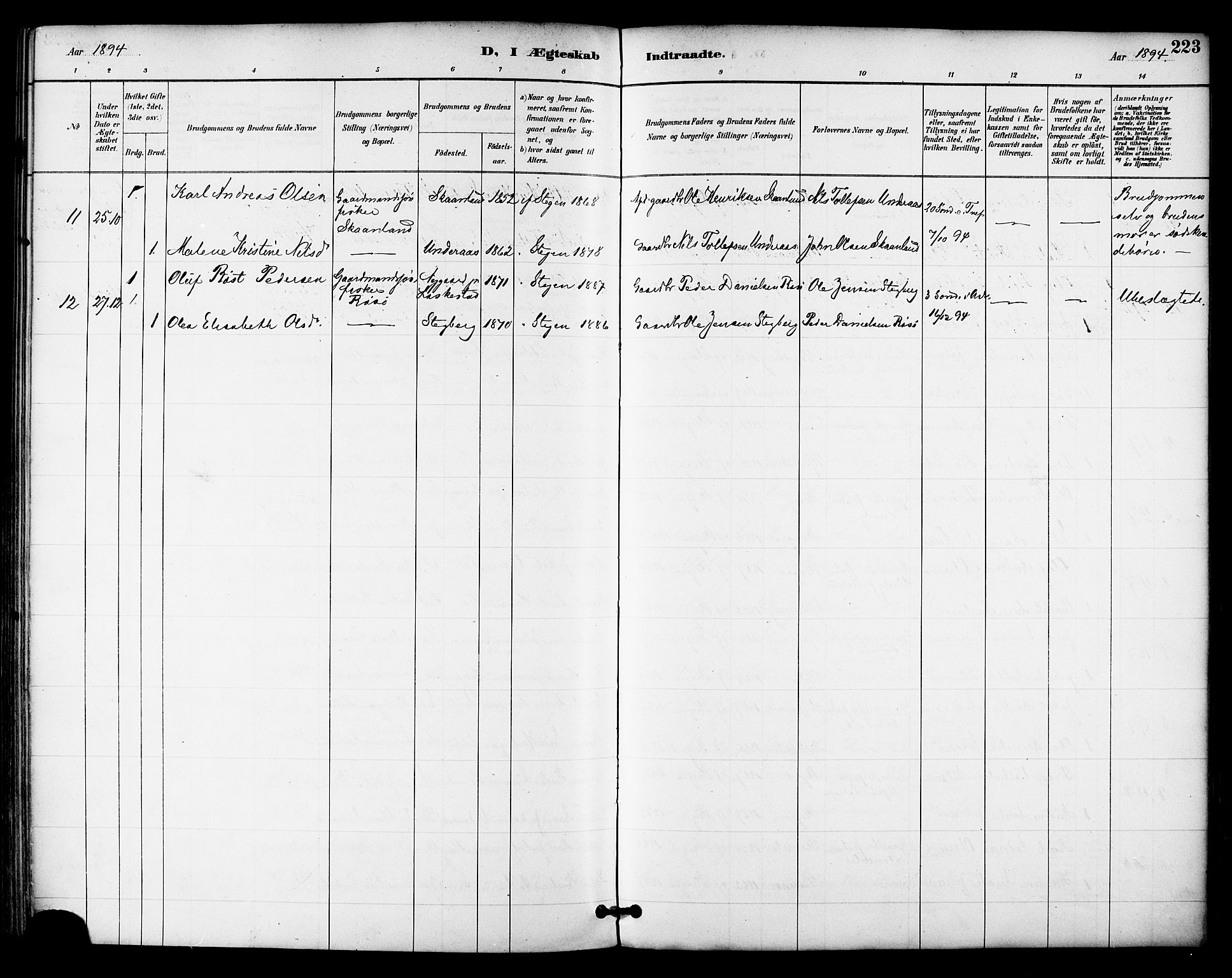 Ministerialprotokoller, klokkerbøker og fødselsregistre - Nordland, AV/SAT-A-1459/855/L0803: Parish register (official) no. 855A11, 1887-1905, p. 223