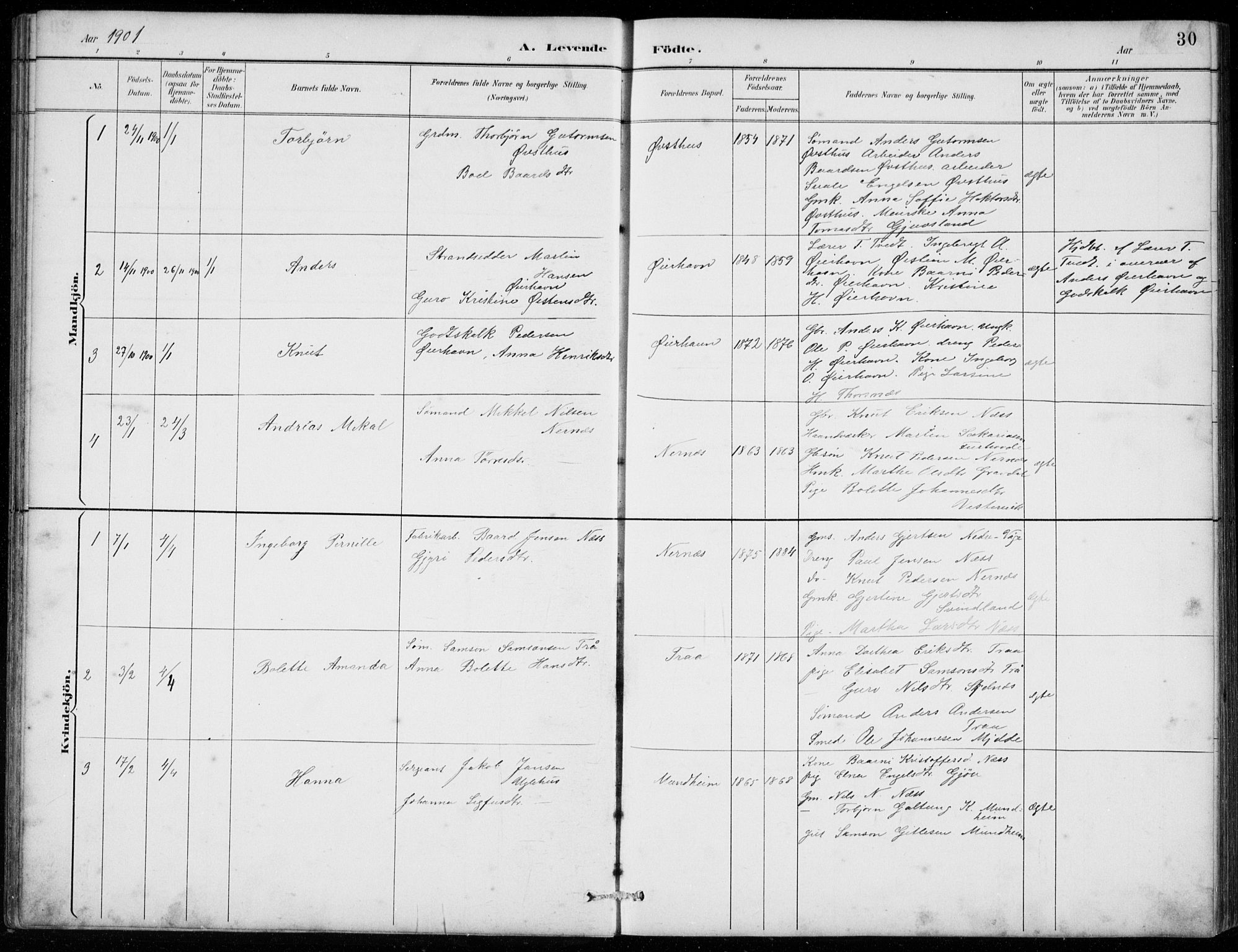 Strandebarm sokneprestembete, AV/SAB-A-78401/H/Hab: Parish register (copy) no. C  1, 1891-1913, p. 30