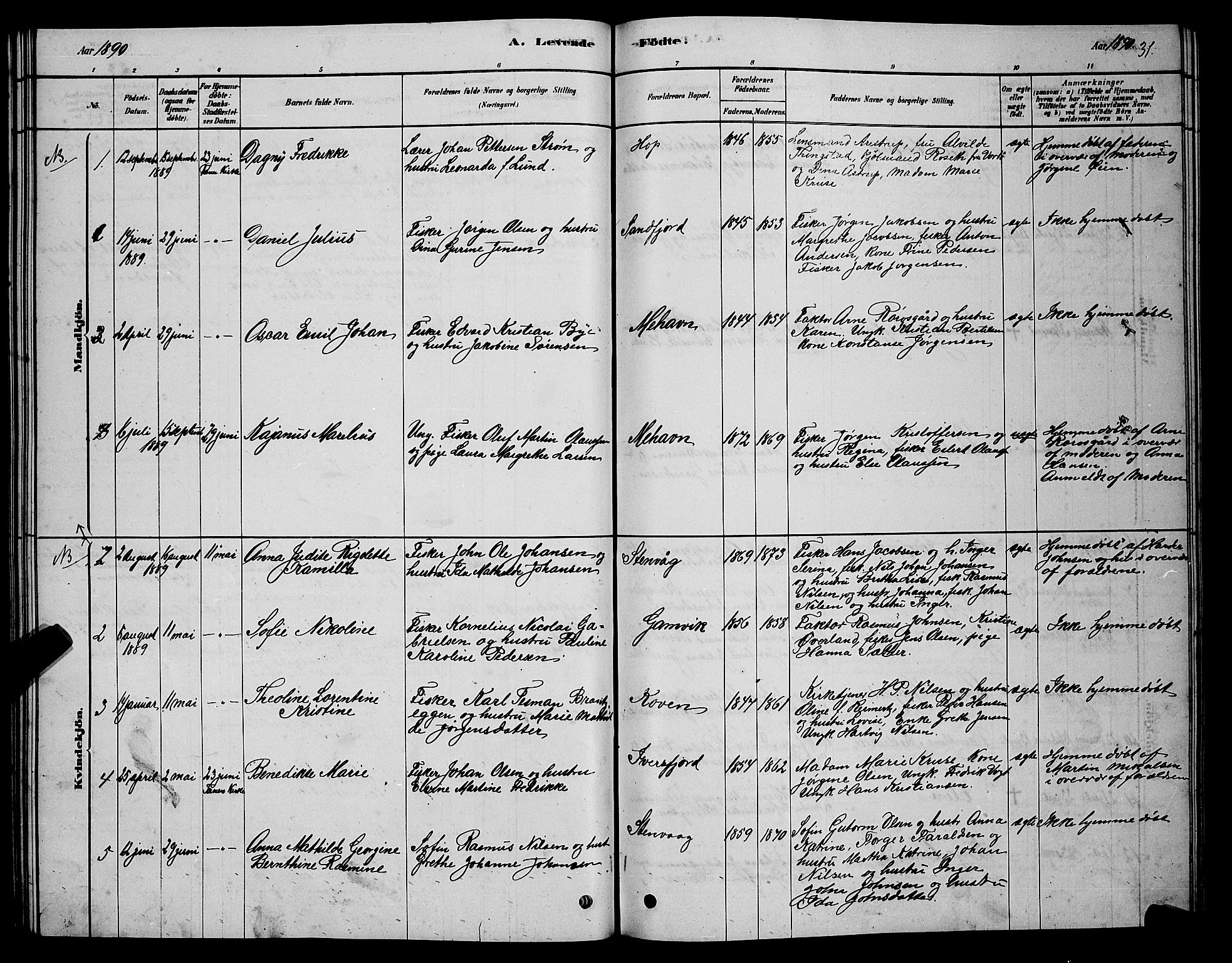 Tana sokneprestkontor, SATØ/S-1334/H/Hb/L0005klokker: Parish register (copy) no. 5, 1878-1891, p. 31