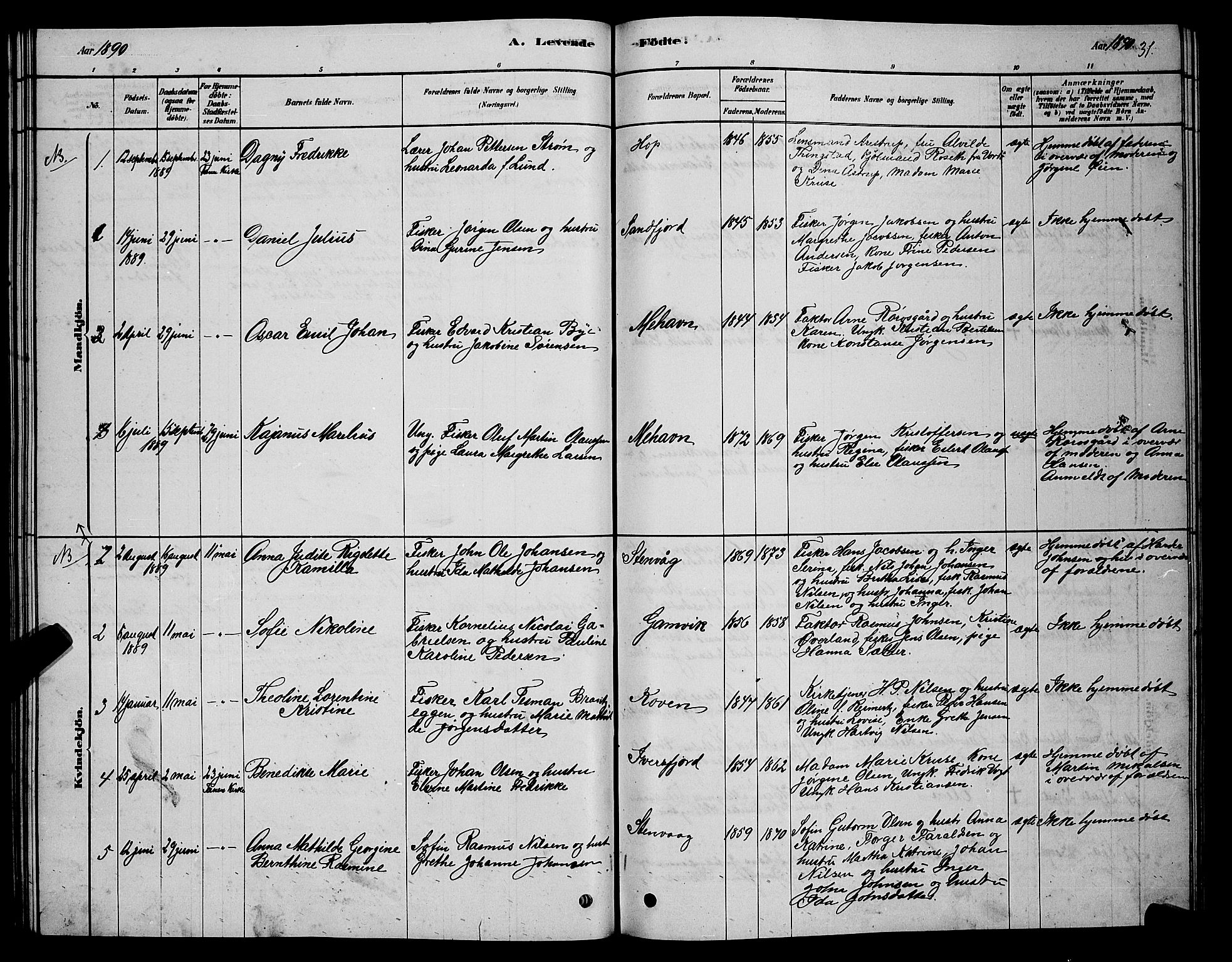 Tana sokneprestkontor, AV/SATØ-S-1334/H/Hb/L0005klokker: Parish register (copy) no. 5, 1878-1891, p. 31