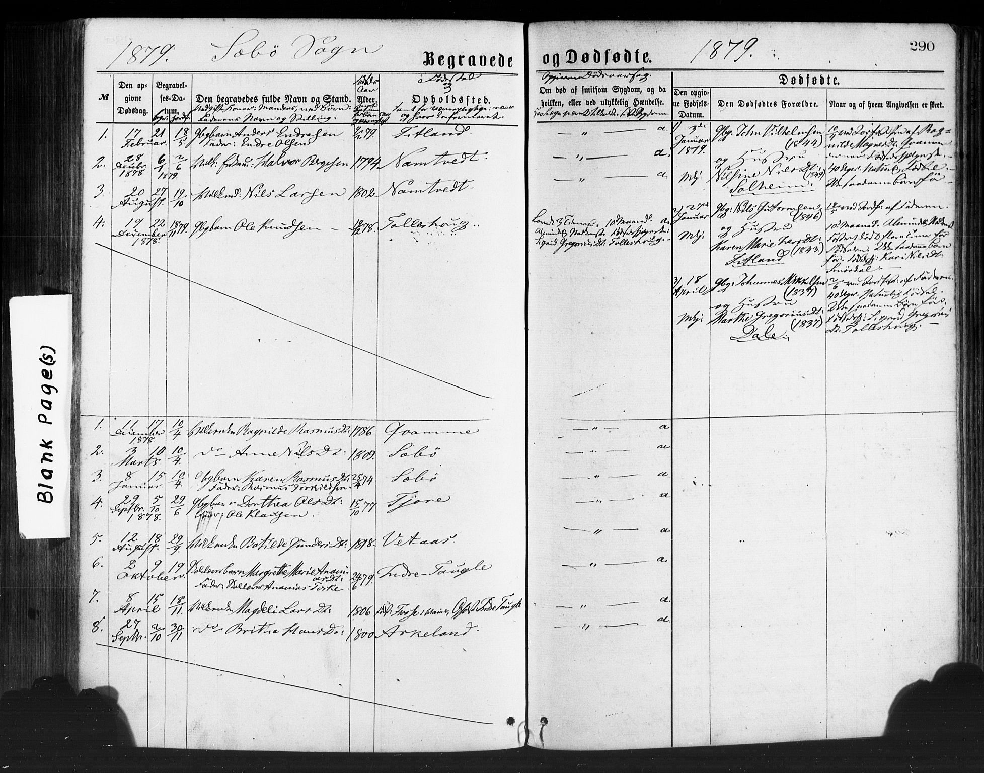 Manger sokneprestembete, SAB/A-76801/H/Haa: Parish register (official) no. A 8, 1871-1880, p. 290