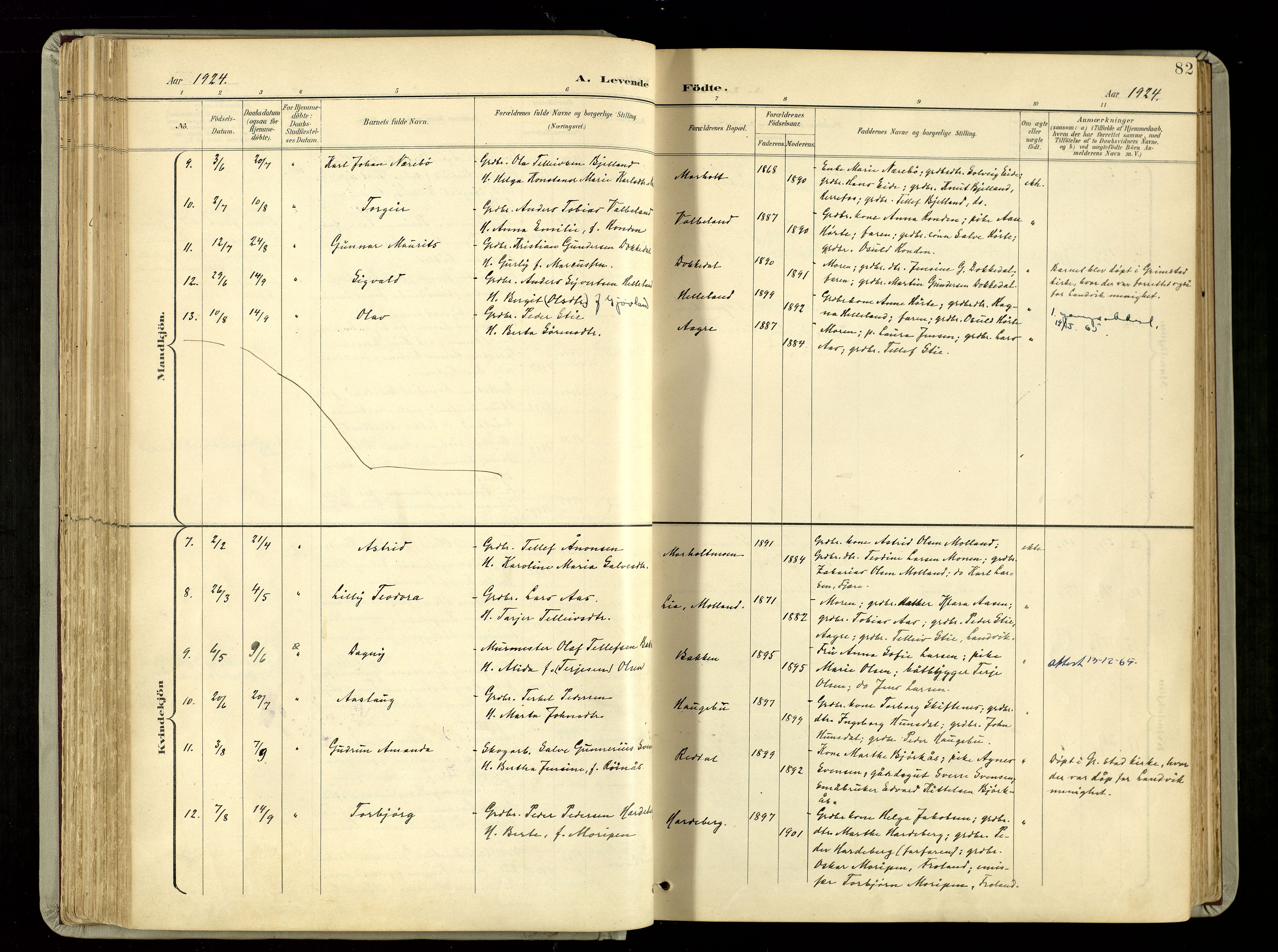 Hommedal sokneprestkontor, AV/SAK-1111-0023/F/Fa/Fab/L0007: Parish register (official) no. A 7, 1898-1924, p. 82