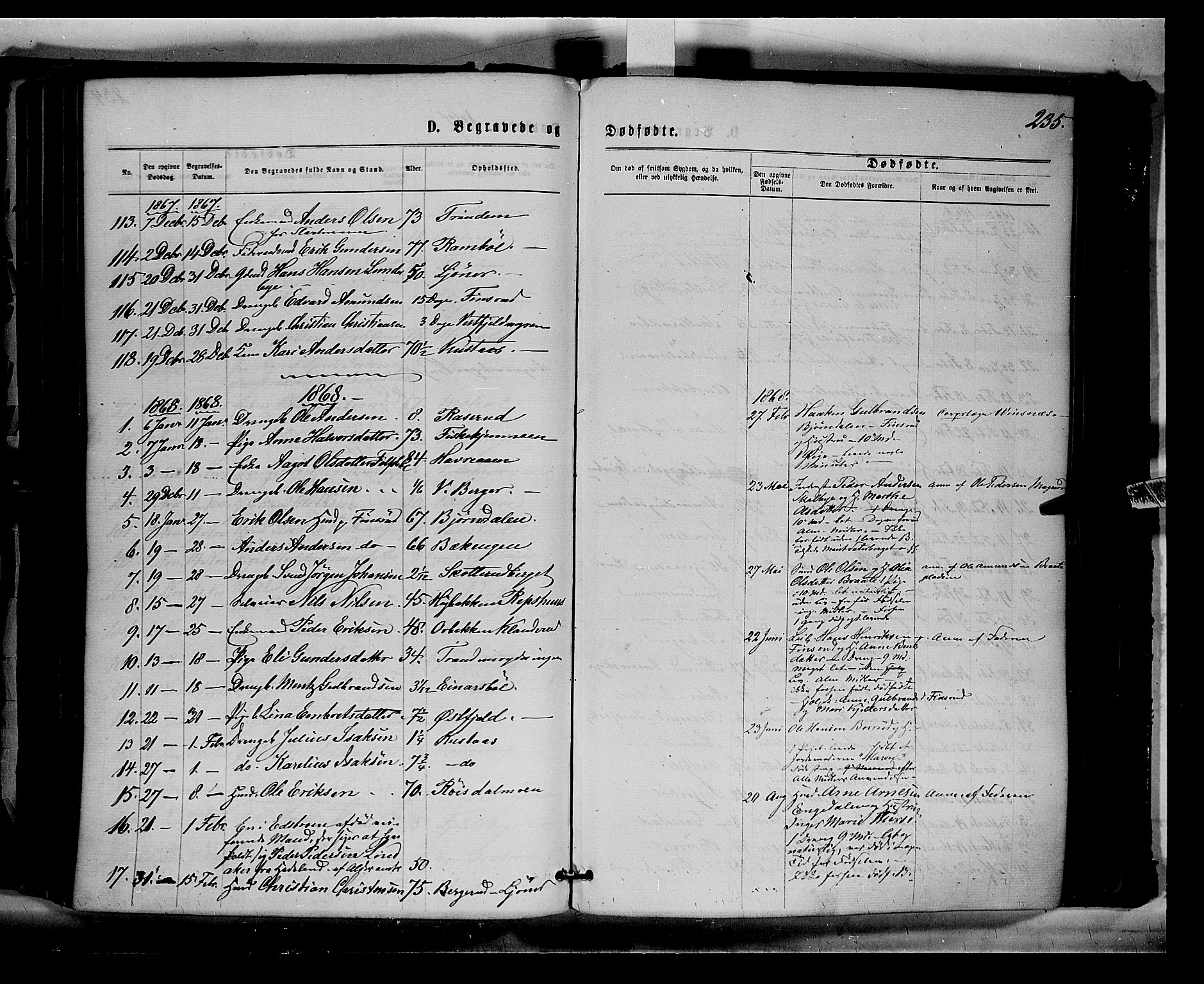 Eidskog prestekontor, AV/SAH-PREST-026/H/Ha/Haa/L0002: Parish register (official) no. 2, 1867-1878, p. 235