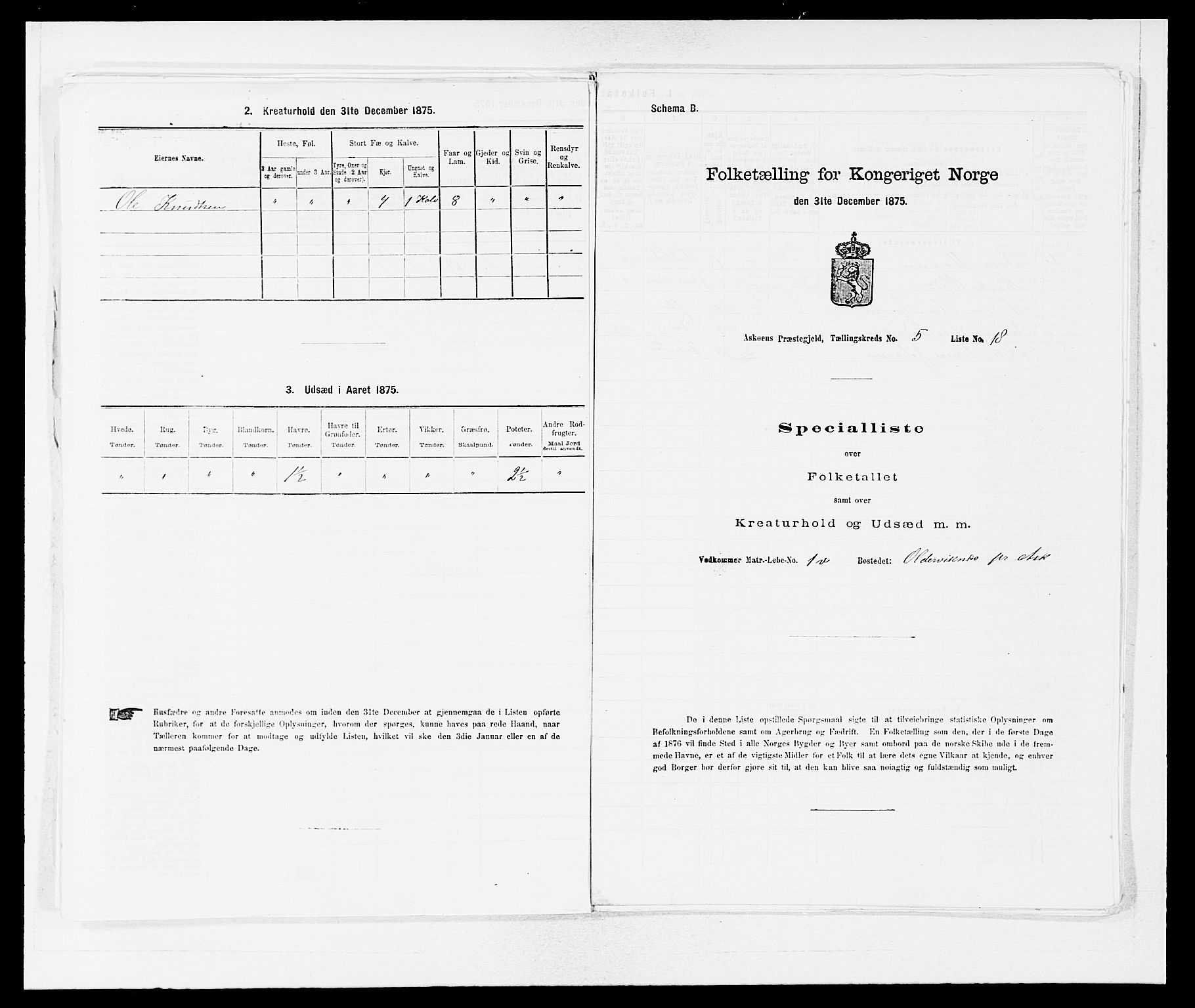 SAB, 1875 census for 1247P Askøy, 1875, p. 619