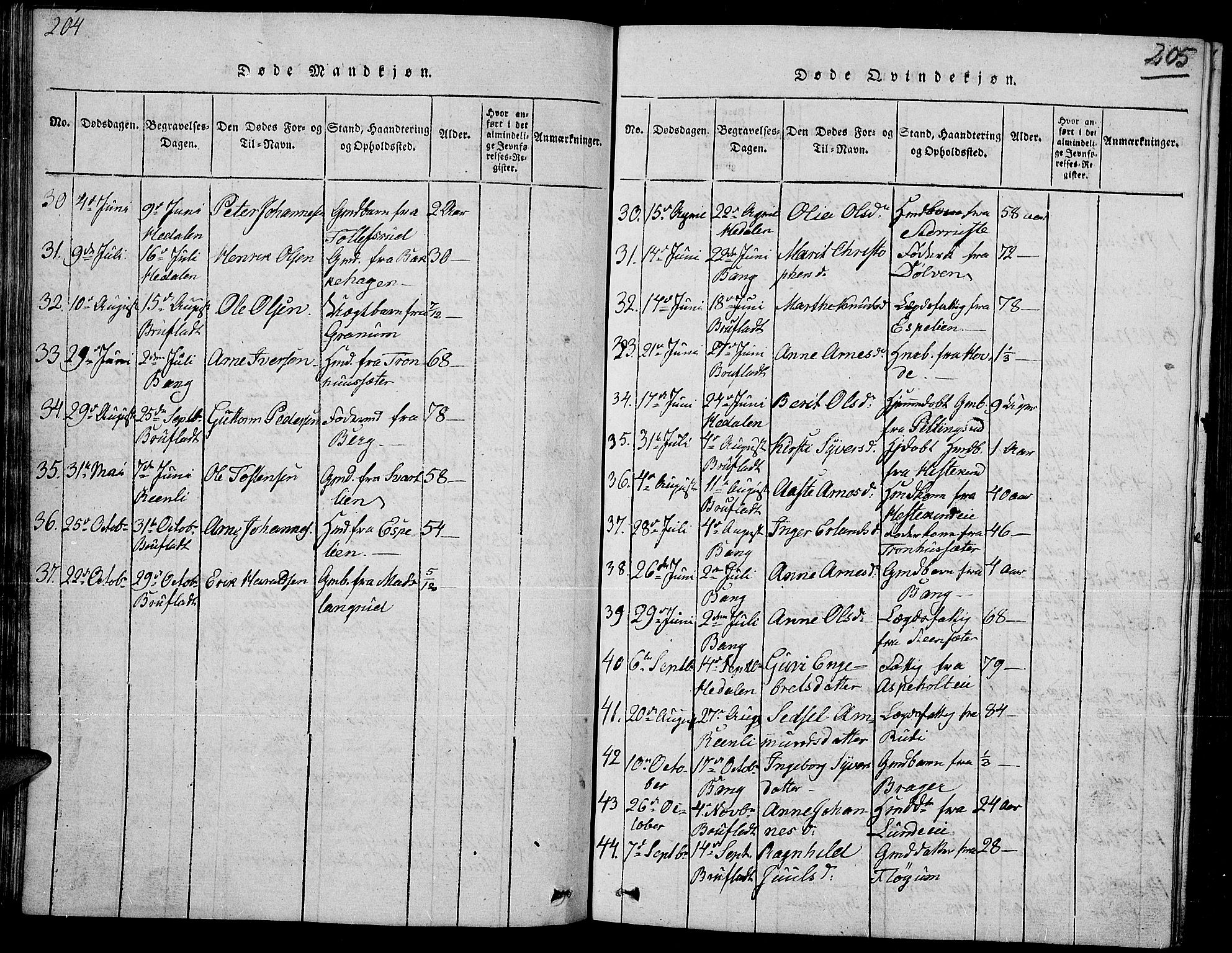 Sør-Aurdal prestekontor, AV/SAH-PREST-128/H/Ha/Hab/L0002: Parish register (copy) no. 2, 1826-1840, p. 204-205