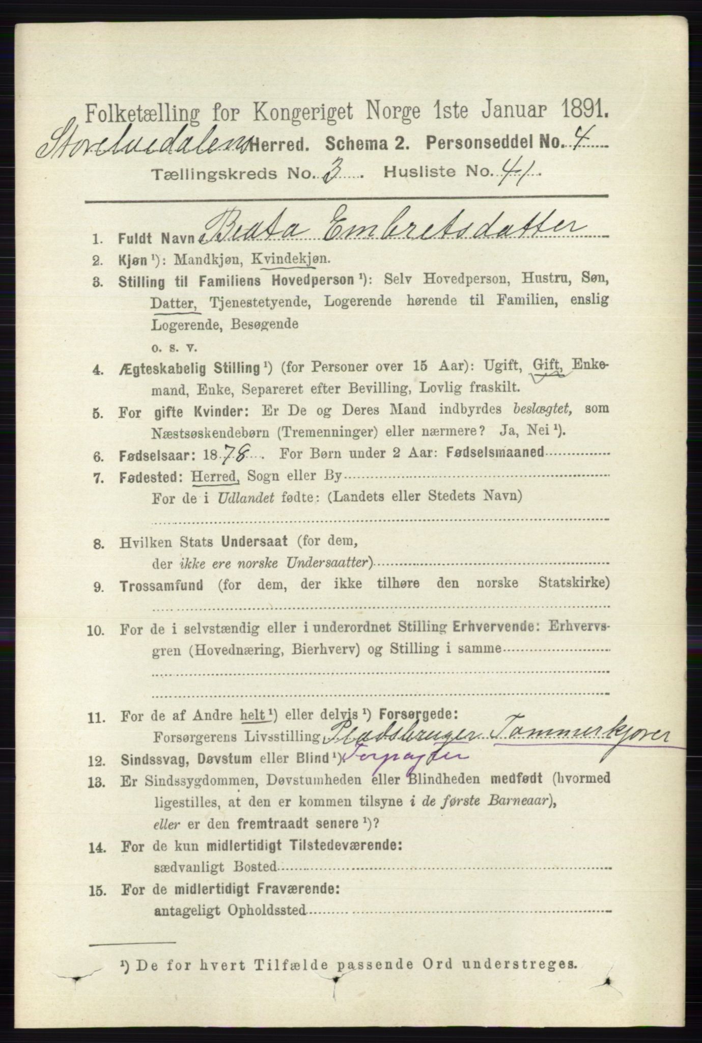 RA, 1891 census for 0430 Stor-Elvdal, 1891, p. 1131
