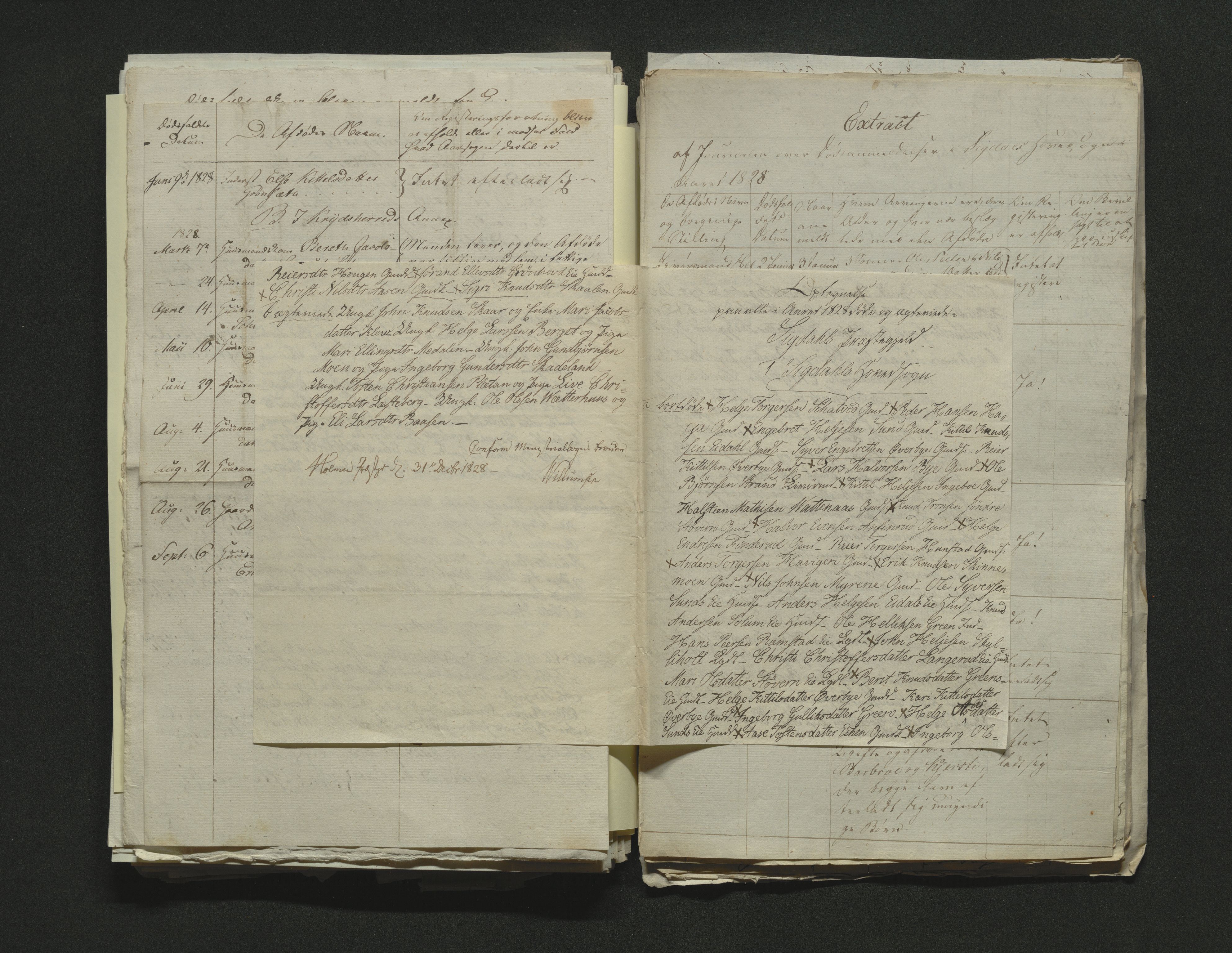 Eiker, Modum og Sigdal sorenskriveri, AV/SAKO-A-123/H/Ha/Hab/L0002: Dødsfallsmeldinger, 1823-1829, p. 313