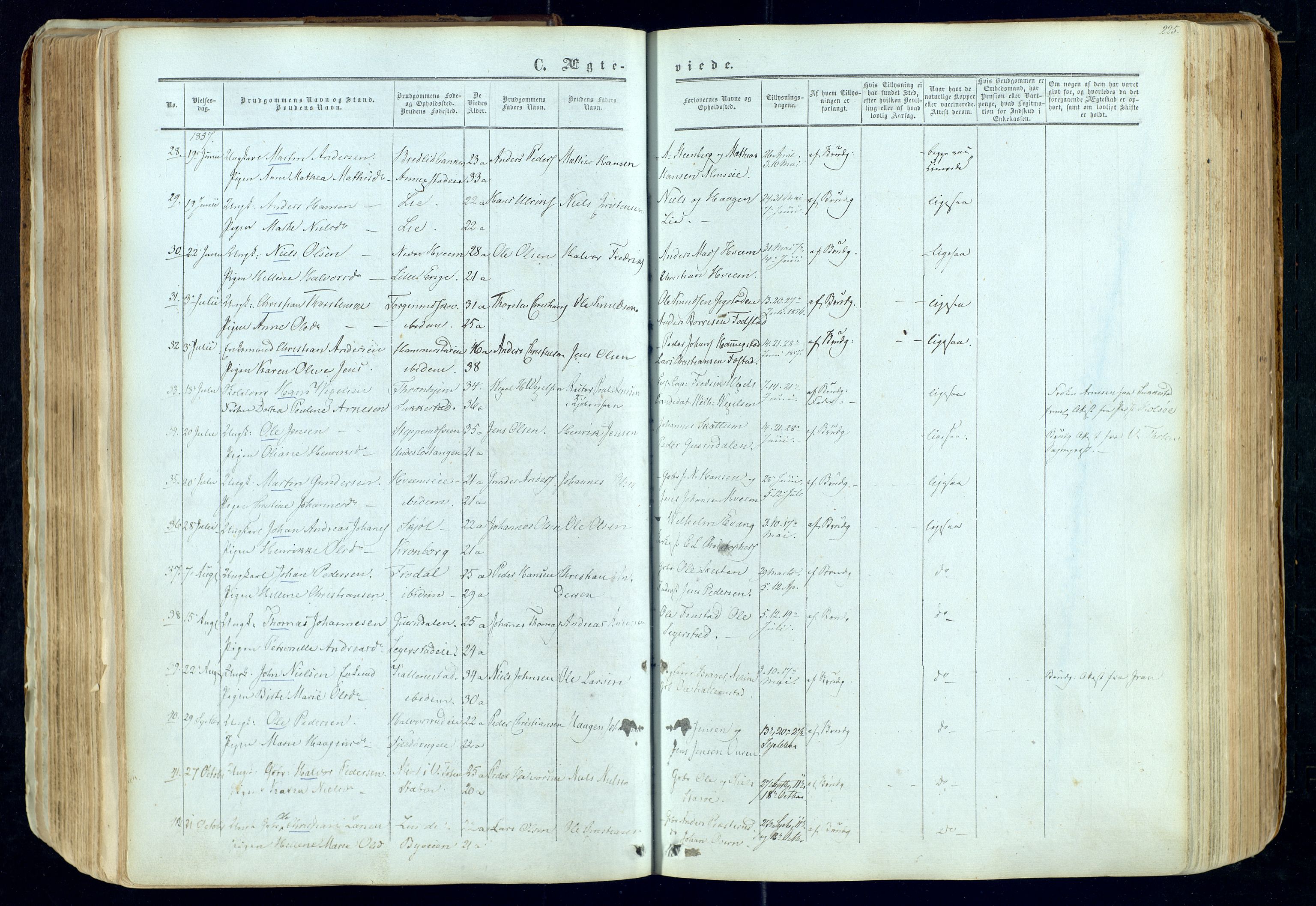 Østre Toten prestekontor, AV/SAH-PREST-104/H/Ha/Haa/L0004: Parish register (official) no. 4, 1857-1865, p. 225