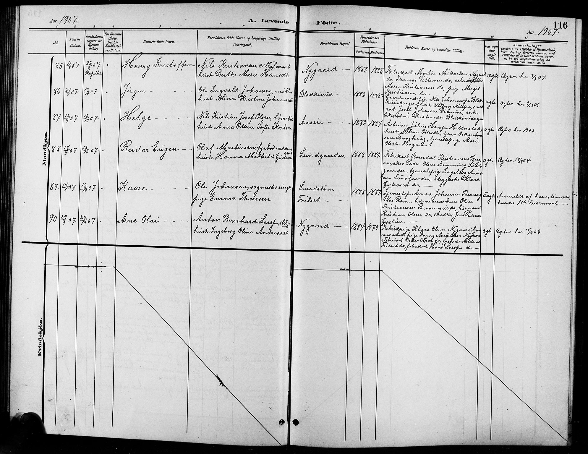 Eidsvoll prestekontor Kirkebøker, AV/SAO-A-10888/G/Ga/L0007: Parish register (copy) no. I 7, 1901-1909, p. 116