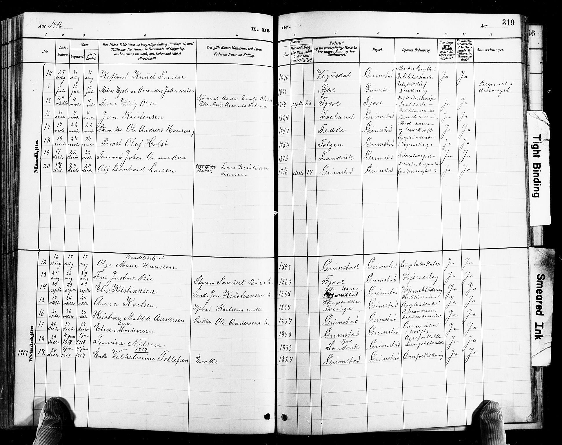 Grimstad sokneprestkontor, AV/SAK-1111-0017/F/Fb/L0001: Parish register (copy) no. B 1, 1881-1922, p. 319