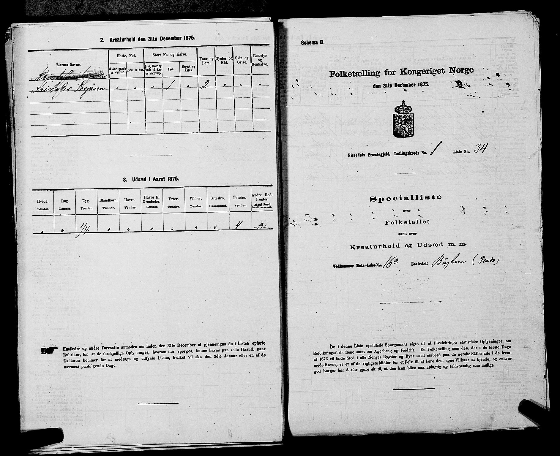 SAKO, 1875 census for 0830P Nissedal, 1875, p. 101