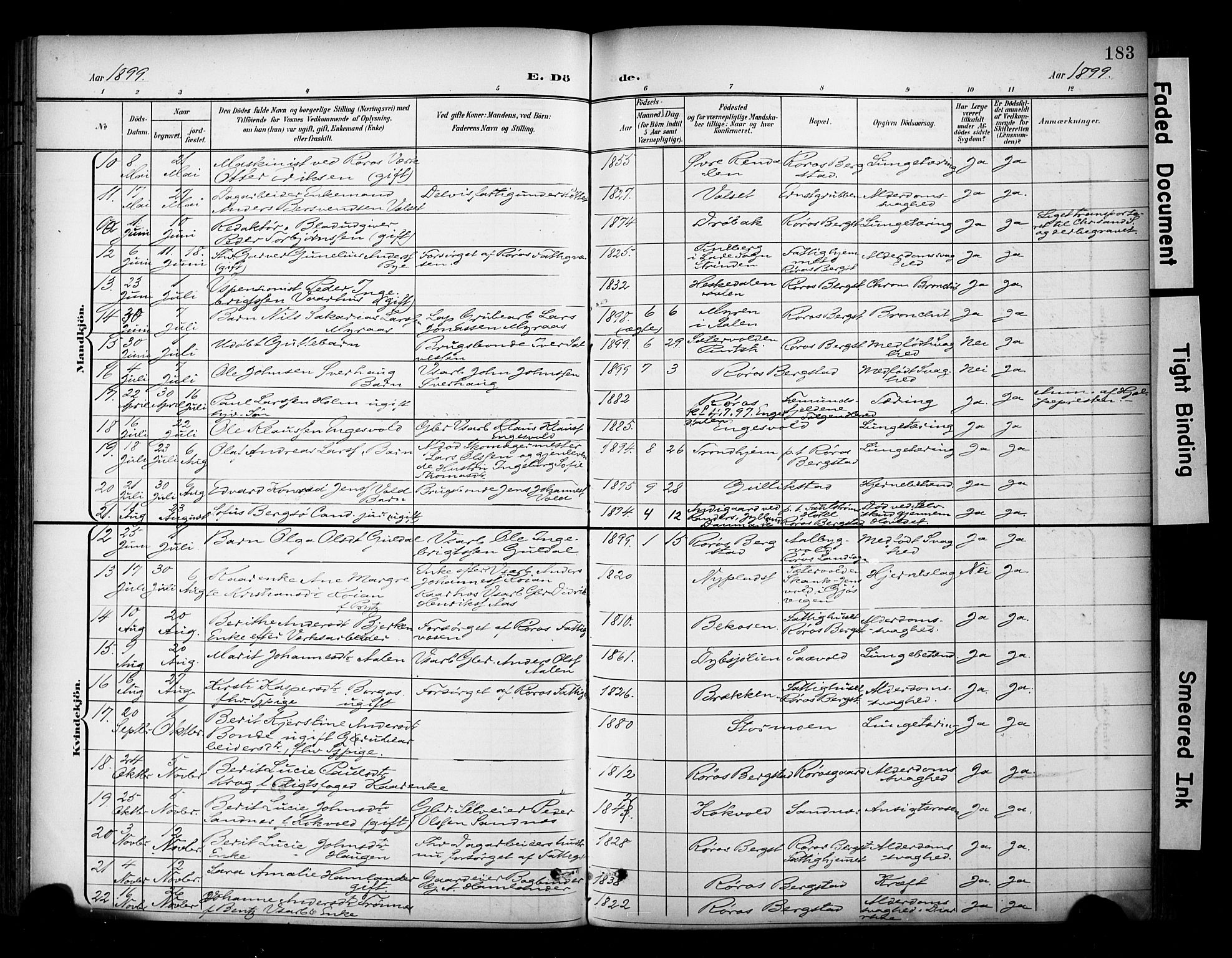 Ministerialprotokoller, klokkerbøker og fødselsregistre - Sør-Trøndelag, SAT/A-1456/681/L0936: Parish register (official) no. 681A14, 1899-1908, p. 183