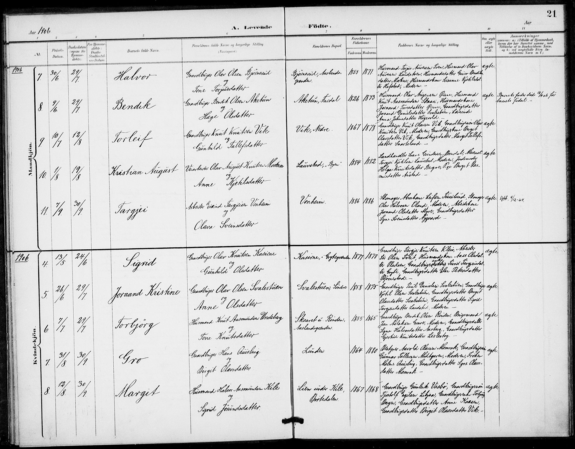 Fyresdal kirkebøker, SAKO/A-263/F/Fa/L0008: Parish register (official) no. I 8, 1899-1914, p. 21