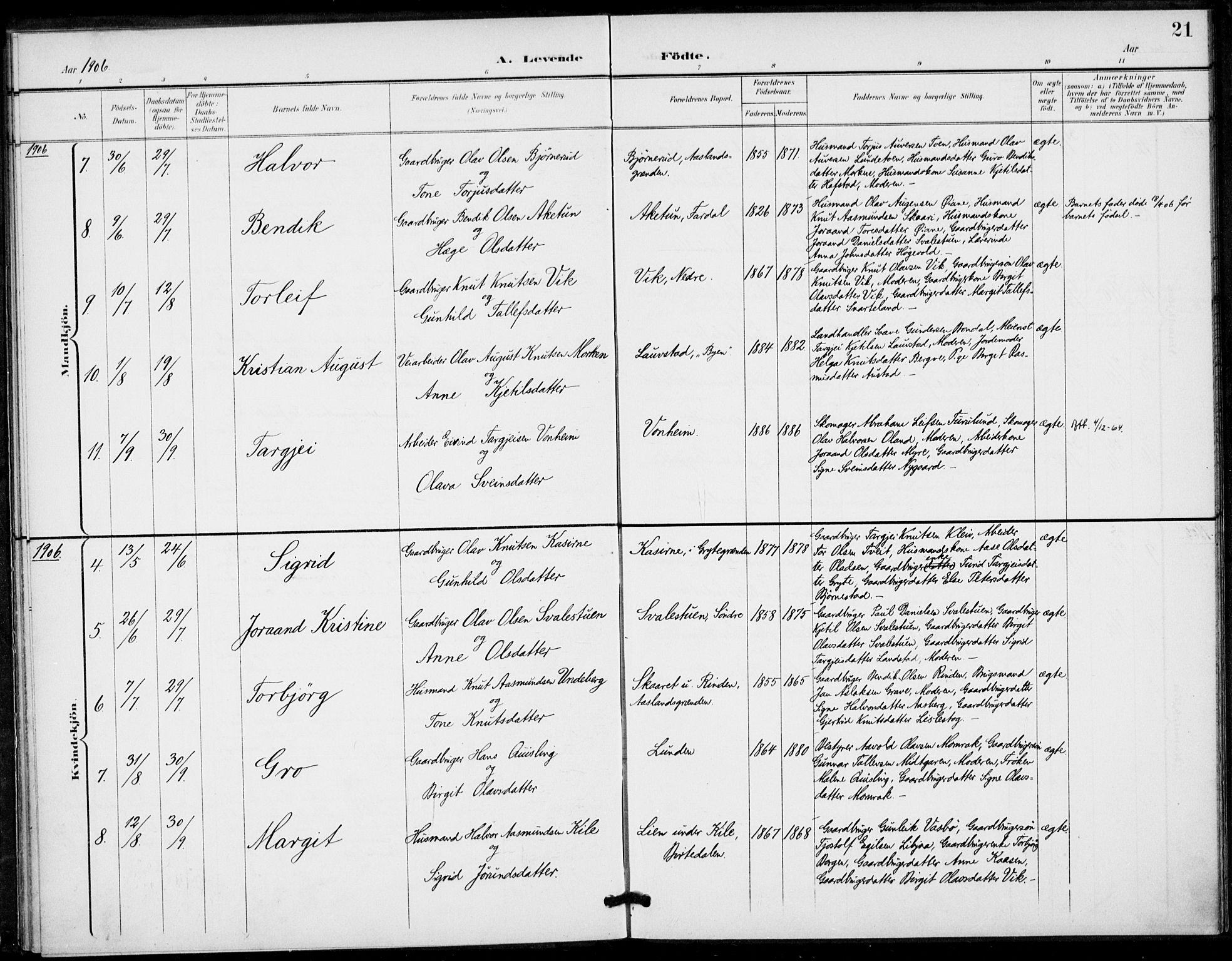 Fyresdal kirkebøker, AV/SAKO-A-263/F/Fa/L0008: Parish register (official) no. I 8, 1899-1914, p. 21