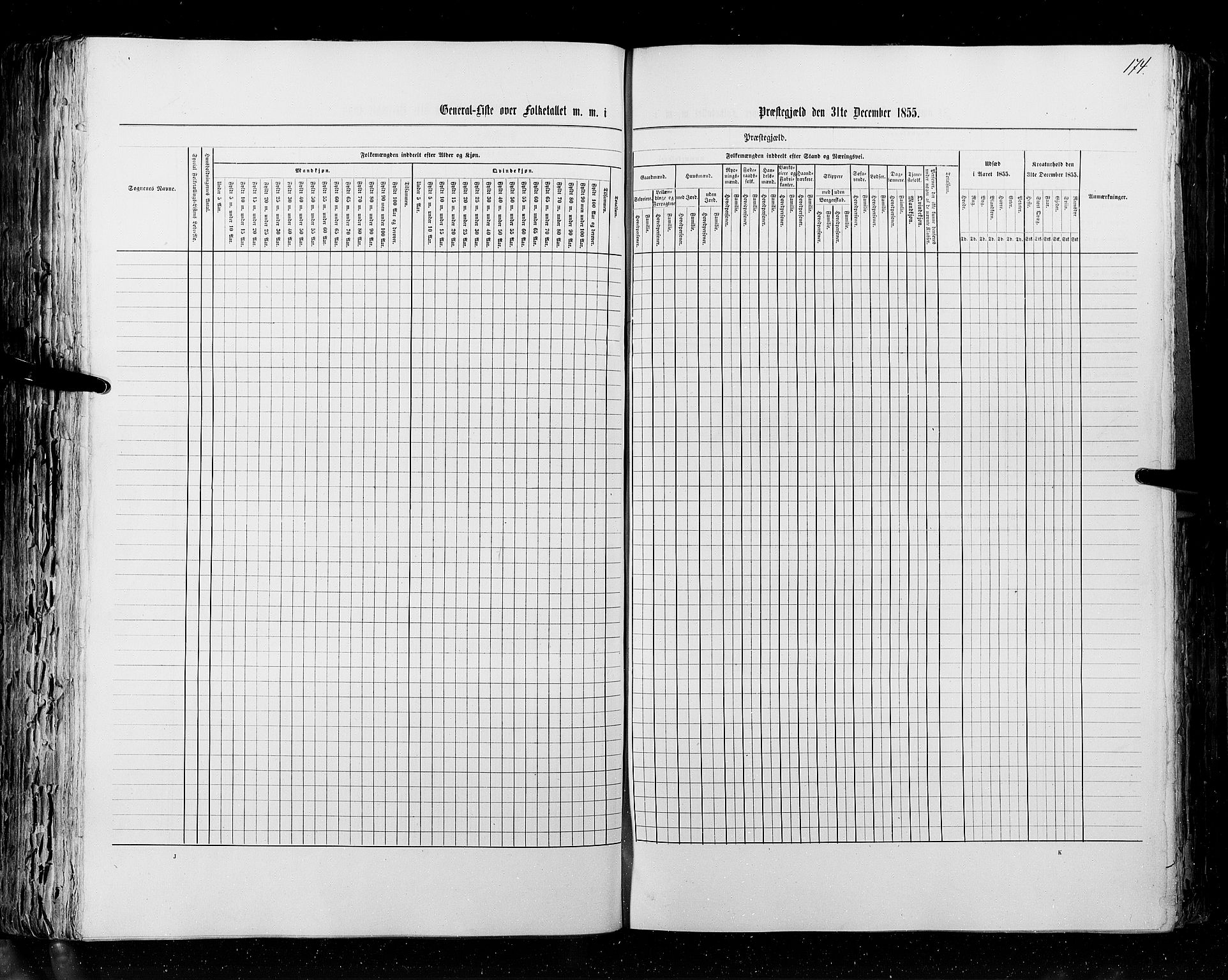 RA, Census 1855, vol. 2: Kristians amt, Buskerud amt og Jarlsberg og Larvik amt, 1855, p. 174