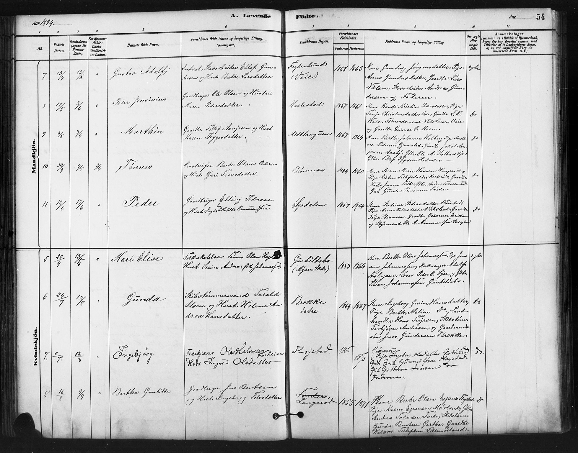 Austre Moland sokneprestkontor, SAK/1111-0001/F/Fb/Fba/L0003: Parish register (copy) no. B 3, 1879-1914, p. 54