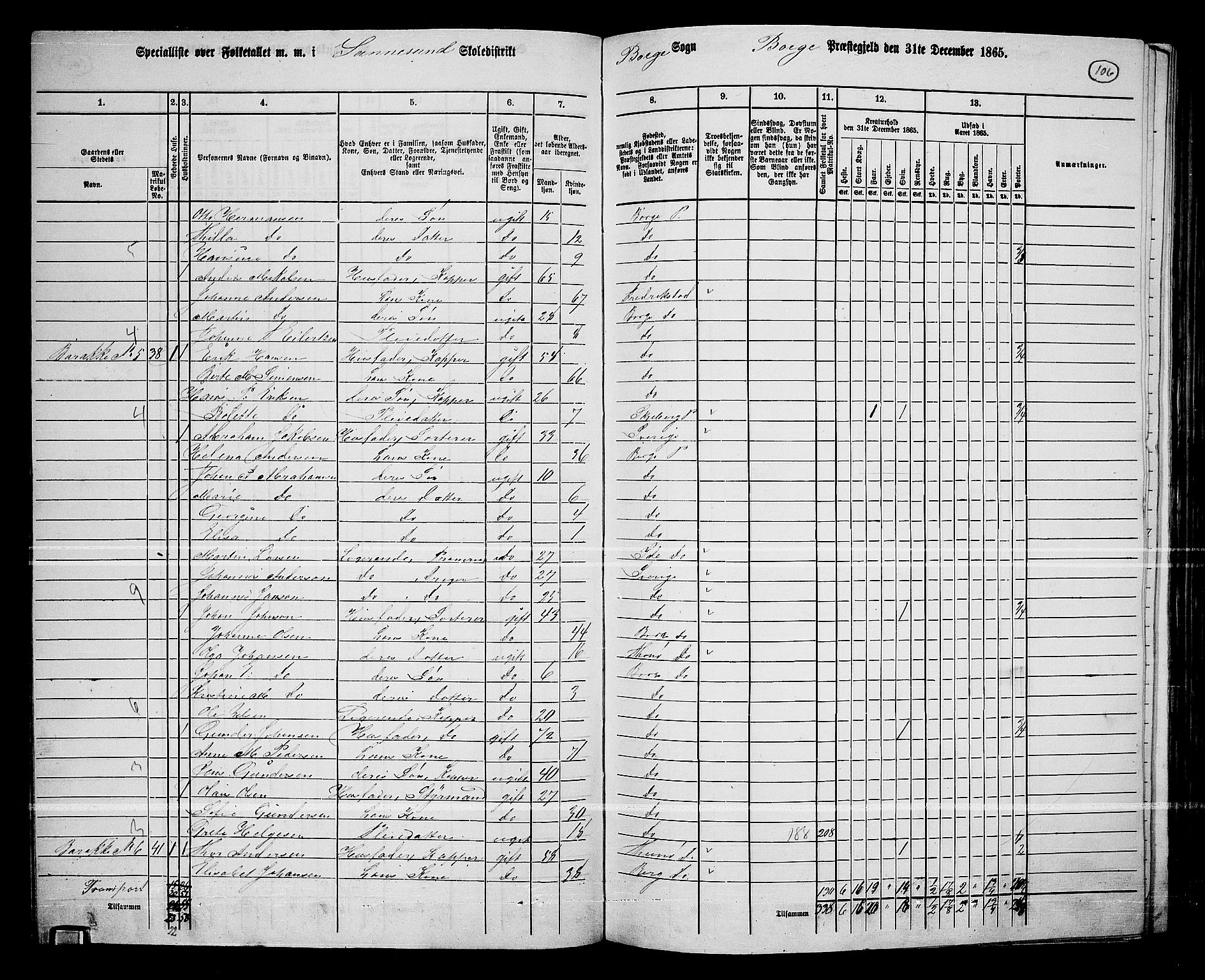 RA, 1865 census for Borge, 1865, p. 100