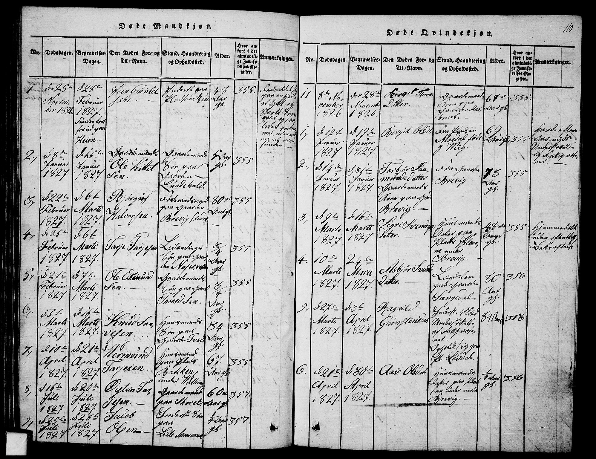 Fyresdal kirkebøker, SAKO/A-263/G/Ga/L0001: Parish register (copy) no. I 1, 1816-1840, p. 110