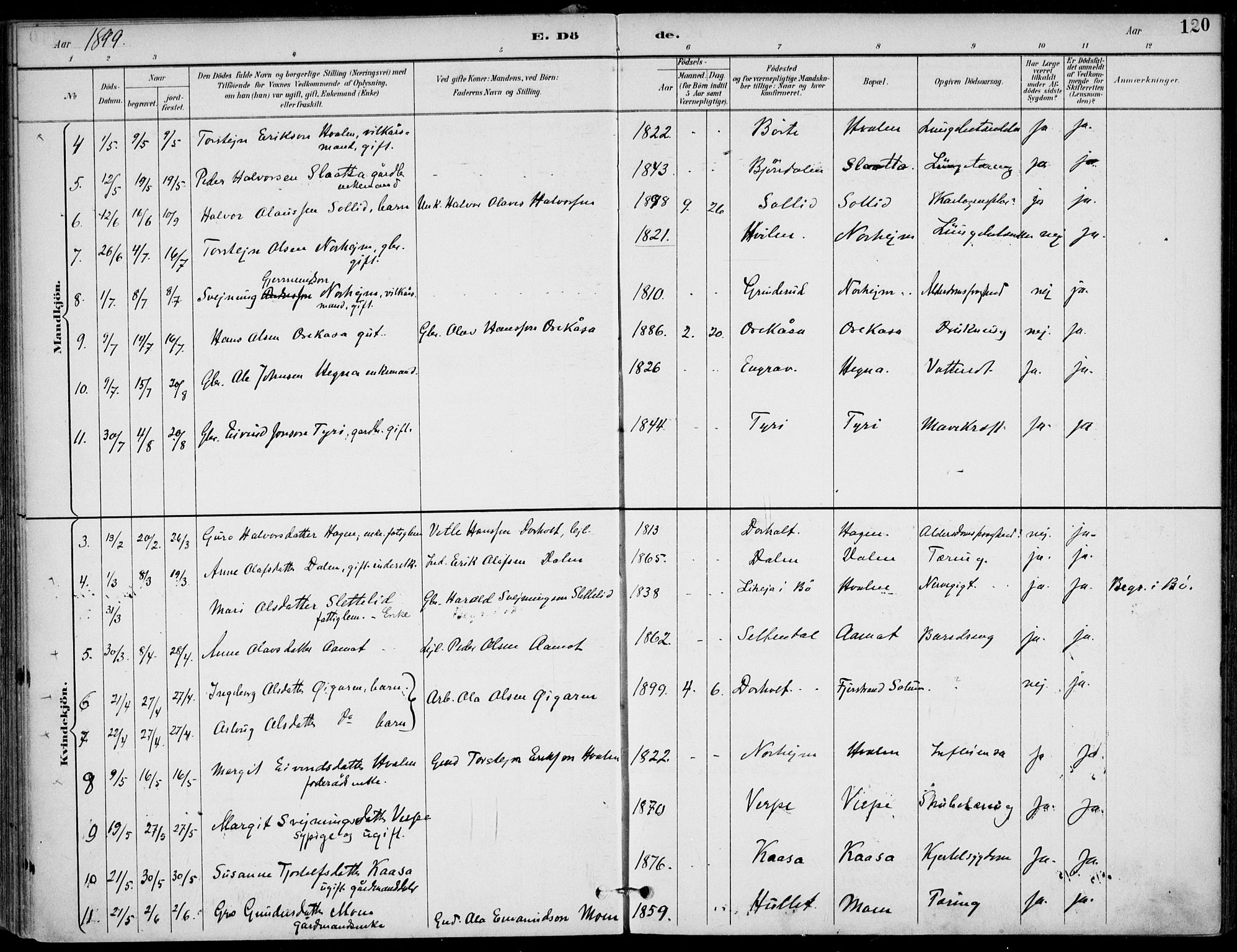 Lunde kirkebøker, AV/SAKO-A-282/F/Fa/L0003: Parish register (official) no. I 3, 1893-1902, p. 120