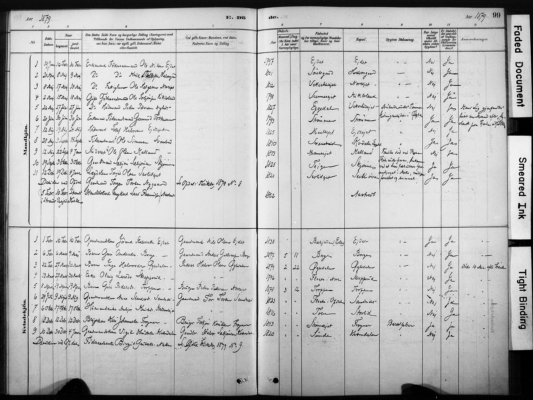 Nore kirkebøker, SAKO/A-238/F/Fb/L0001: Parish register (official) no. II 1, 1878-1886, p. 99
