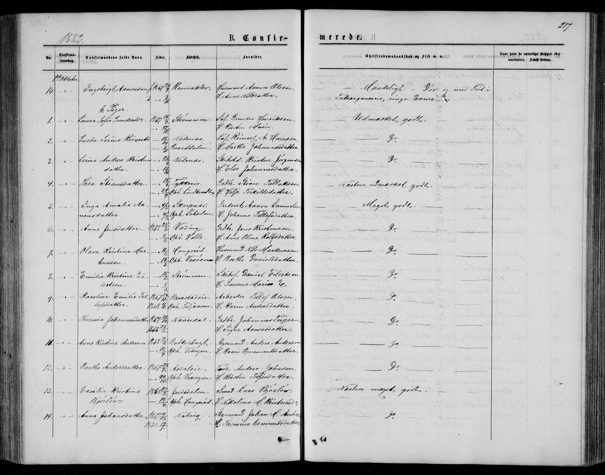 Øyestad sokneprestkontor, AV/SAK-1111-0049/F/Fb/L0008: Parish register (copy) no. B 8, 1872-1886, p. 217