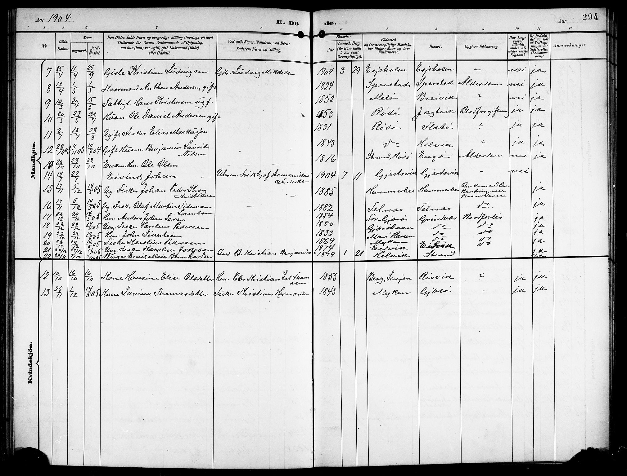 Ministerialprotokoller, klokkerbøker og fødselsregistre - Nordland, AV/SAT-A-1459/841/L0621: Parish register (copy) no. 841C05, 1897-1923, p. 294