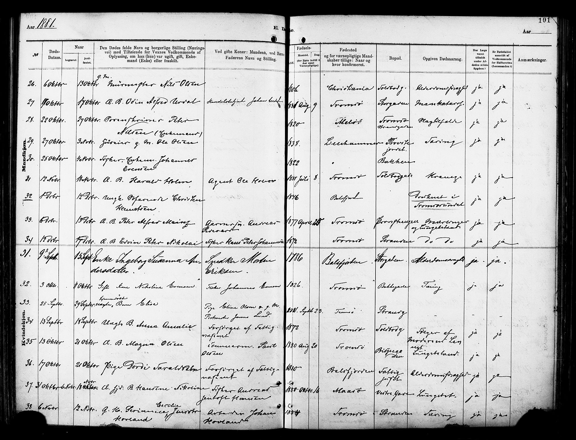 Tromsø sokneprestkontor/stiftsprosti/domprosti, AV/SATØ-S-1343/G/Ga/L0014kirke: Parish register (official) no. 14, 1878-1888, p. 101