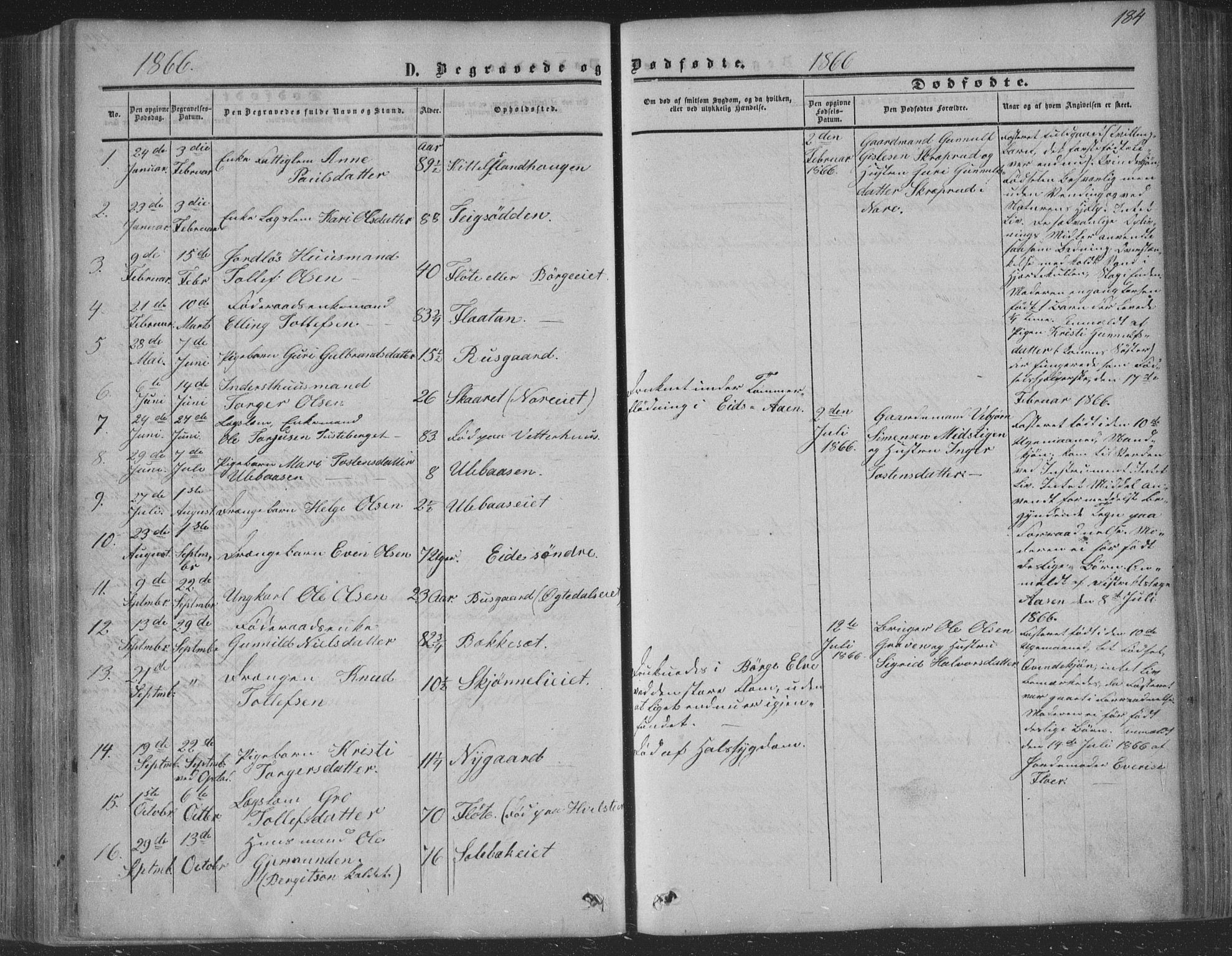 Nore kirkebøker, SAKO/A-238/F/Fa/L0002: Parish register (official) no. I 2, 1856-1871, p. 184