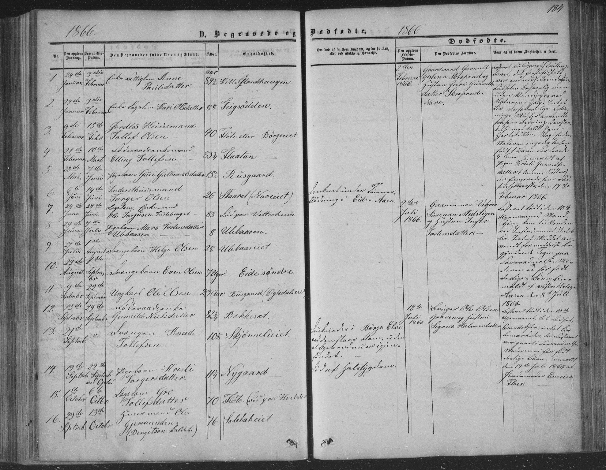 Nore kirkebøker, AV/SAKO-A-238/F/Fa/L0002: Parish register (official) no. I 2, 1856-1871, p. 184