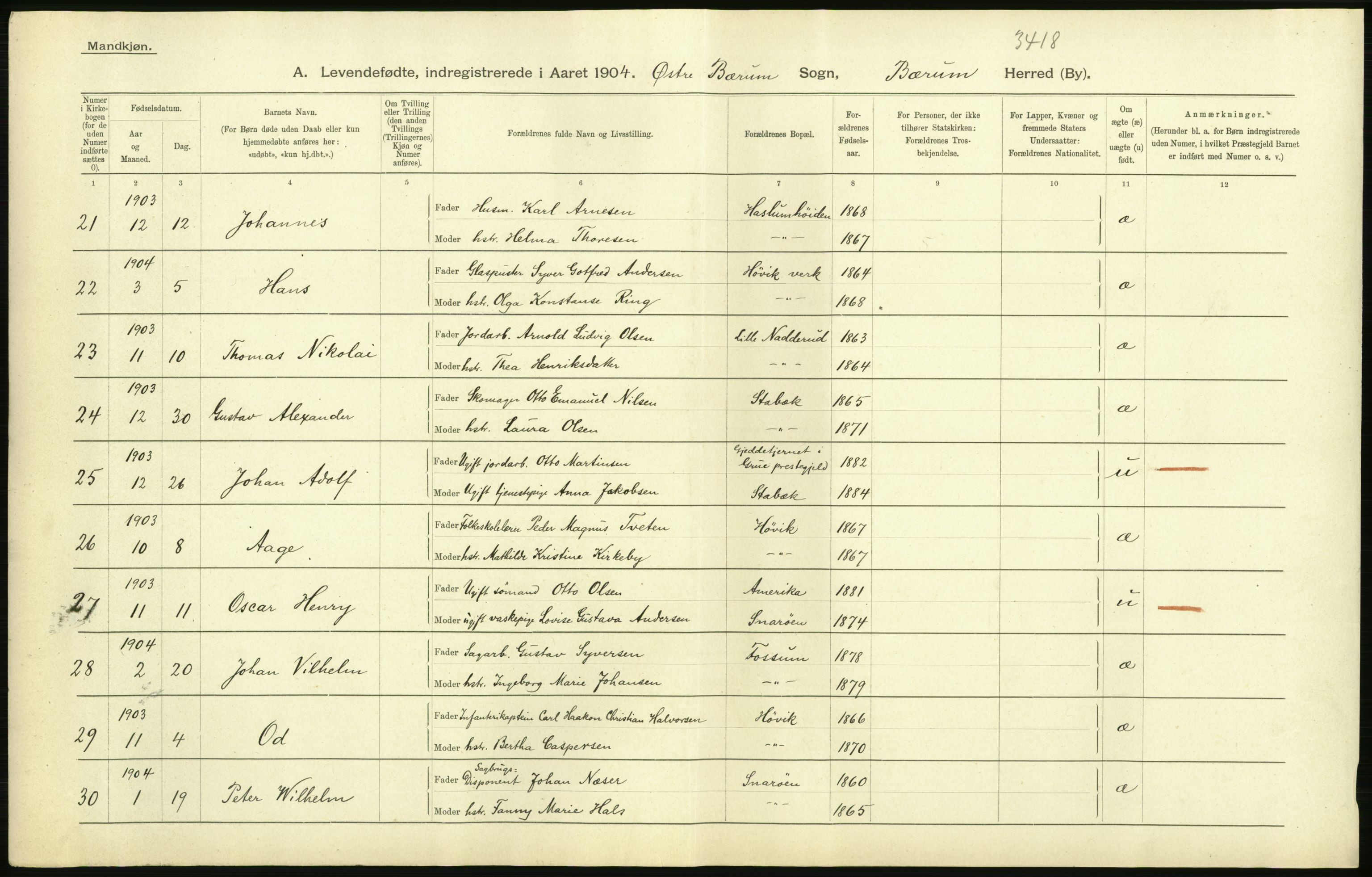 Statistisk sentralbyrå, Sosiodemografiske emner, Befolkning, AV/RA-S-2228/D/Df/Dfa/Dfab/L0002: Akershus amt: Fødte, gifte, døde, 1904, p. 36