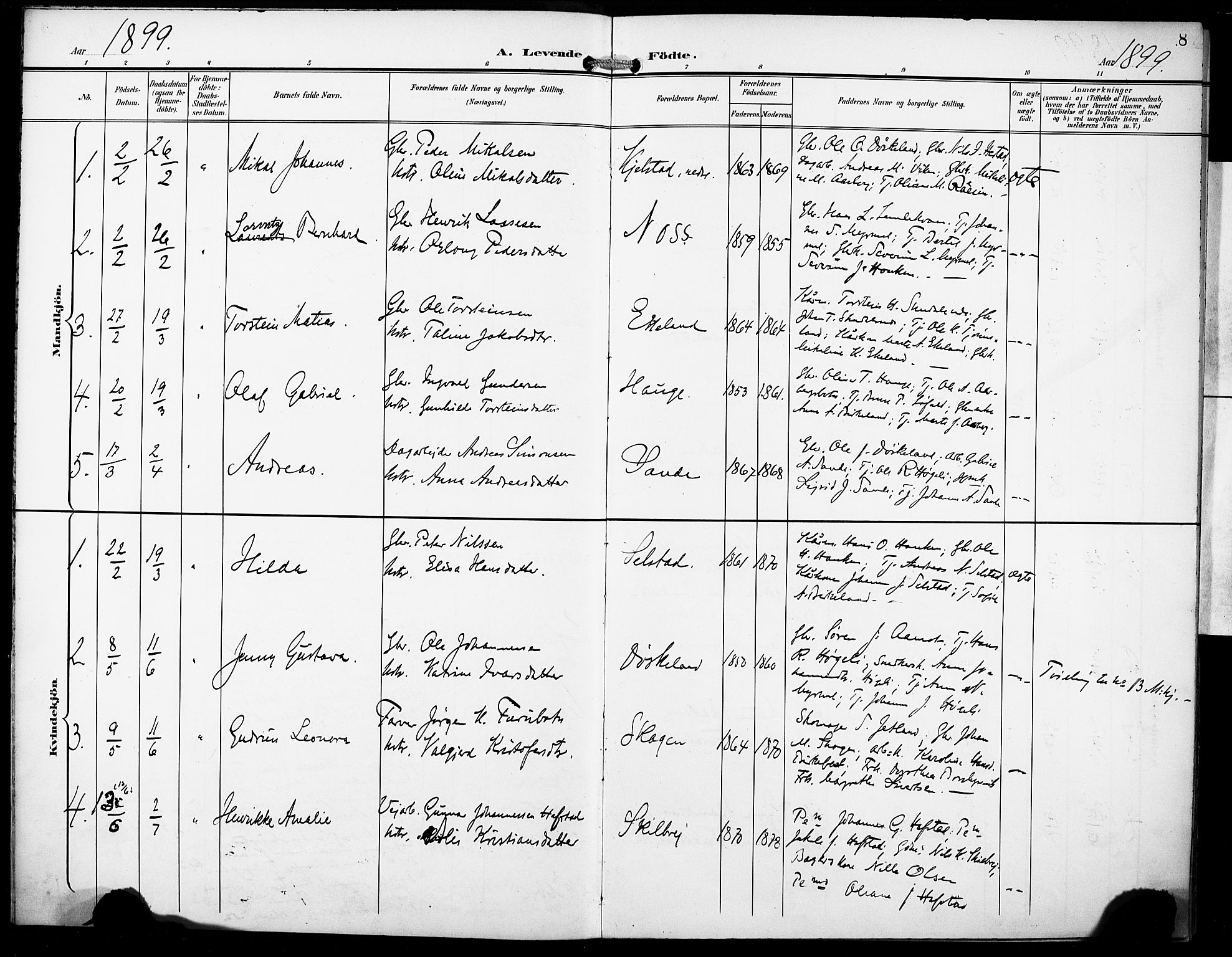 Gaular sokneprestembete, AV/SAB-A-80001/H/Haa: Parish register (official) no. B 2, 1898-1911, p. 8