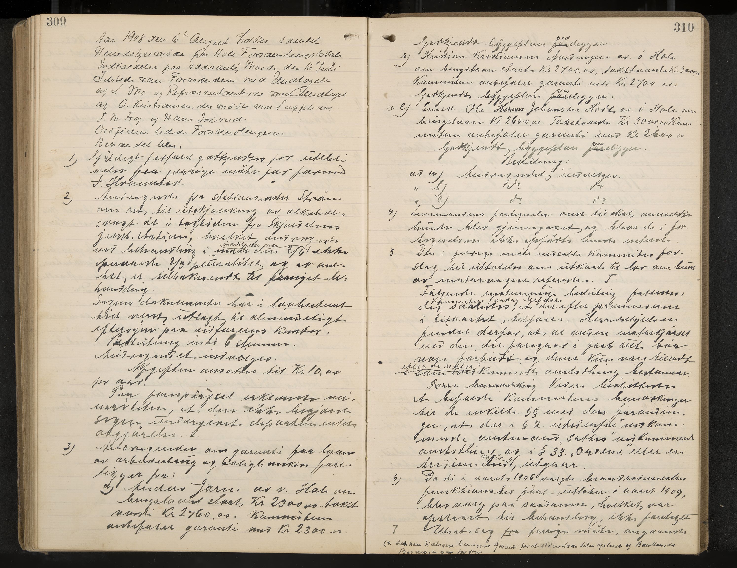 Hole formannskap og sentraladministrasjon, IKAK/0612021-1/A/Aa/L0004: Møtebok med register, 1902-1910, p. 309-310
