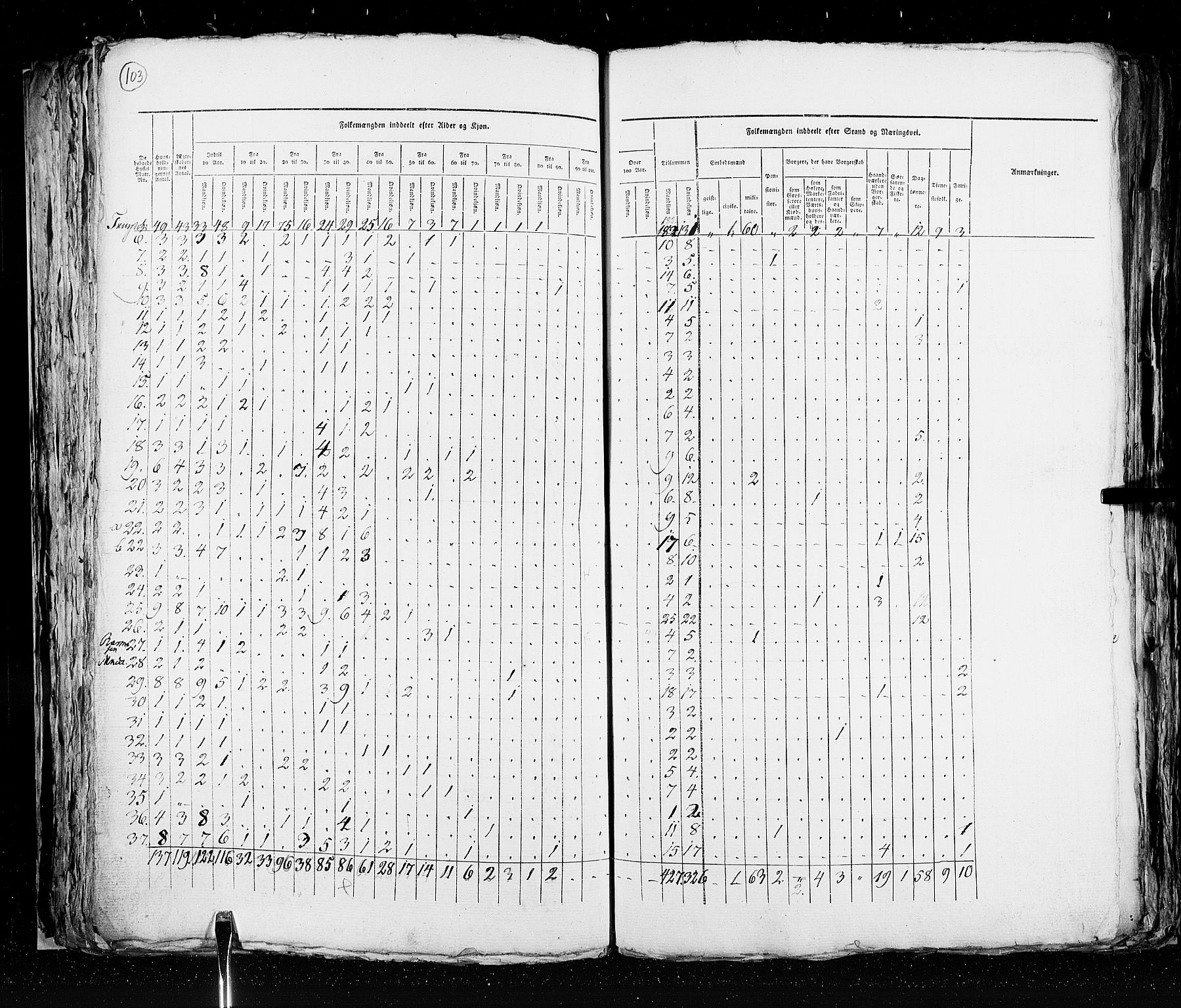 RA, Census 1825, vol. 20: Fredrikshald-Kragerø, 1825, p. 103